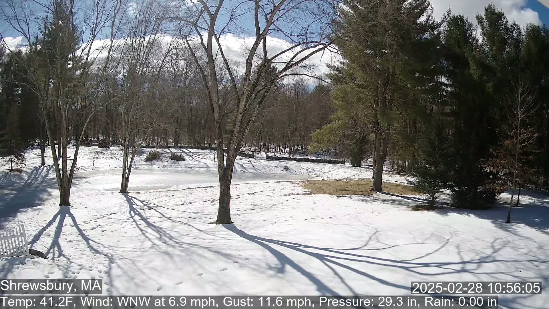 A snow-covered yard with bare deciduous trees and evergreens in the background under a partly sunny sky.