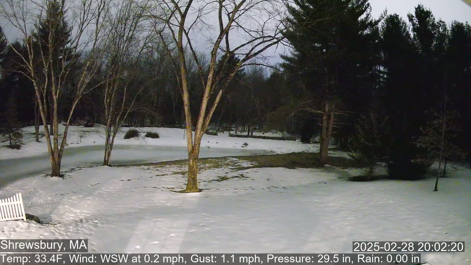A snow-covered yard with bare trees and a dark forest in the background under a twilight sky.