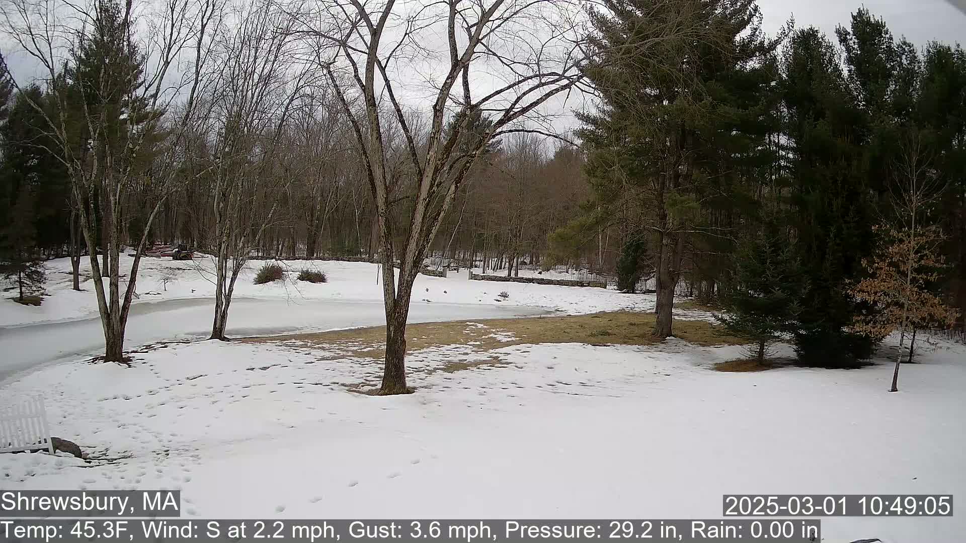 A snow-covered yard with leafless trees and a partially frozen pond is visible, under a gray sky.