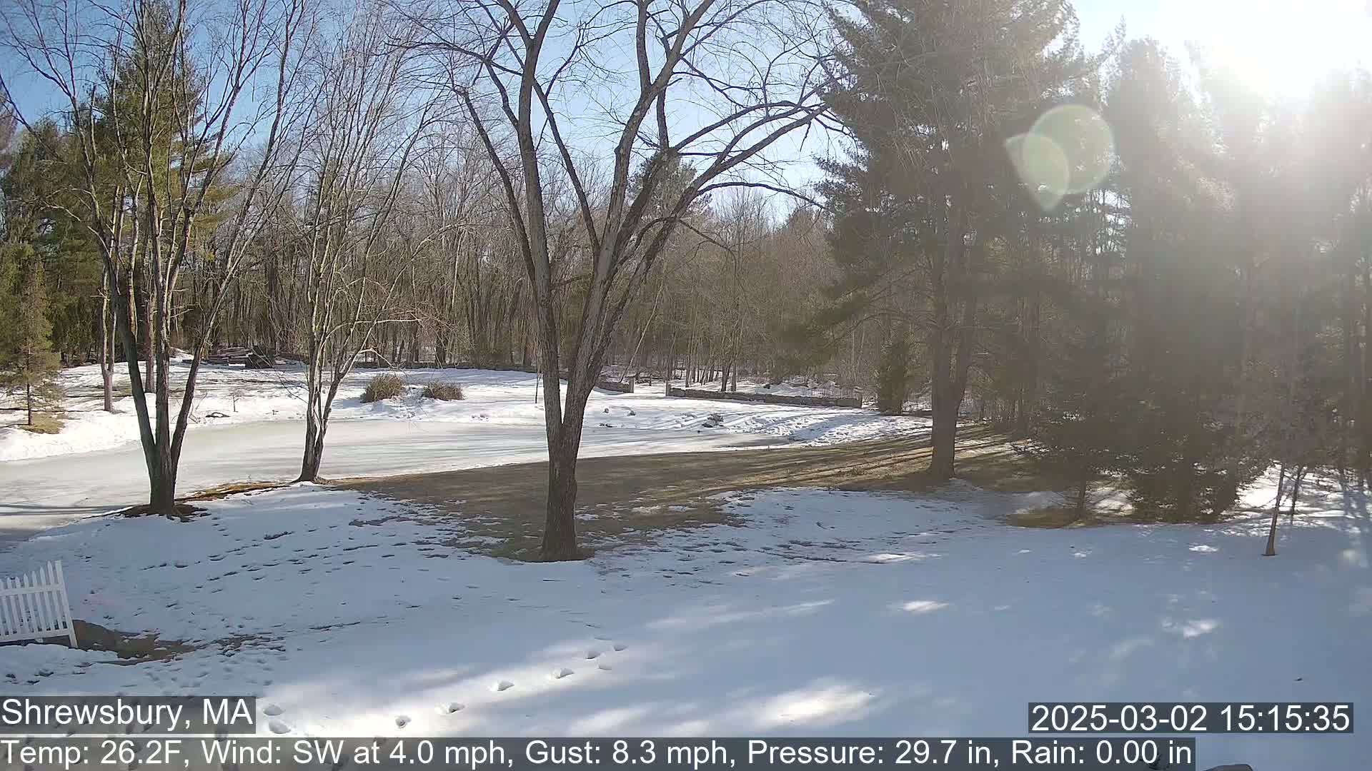 A snow-covered yard with bare trees and a partially frozen pond is bathed in bright sunshine.