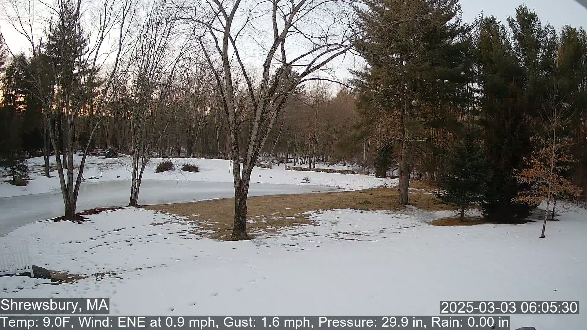 A snow-covered yard and partially frozen pond are surrounded by leafless trees and evergreens under a twilight sky.