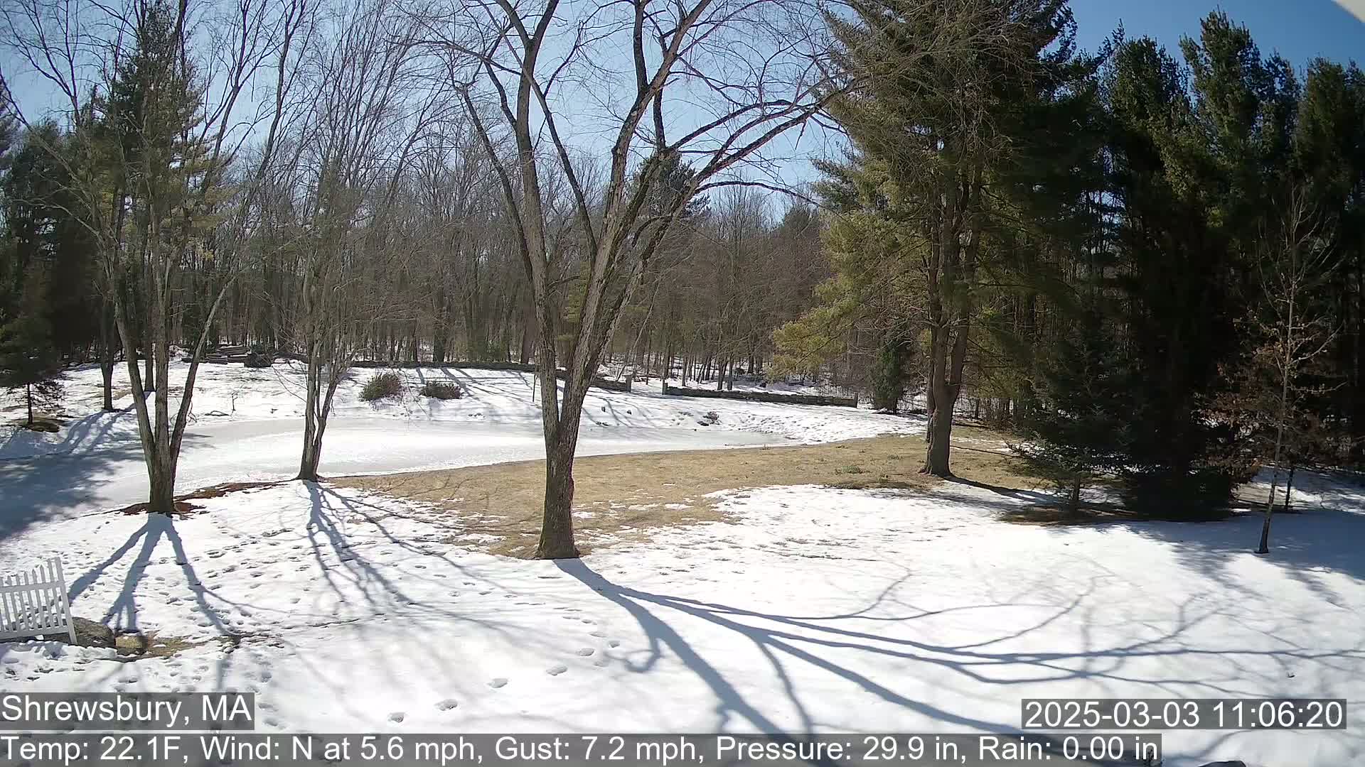A snow-covered yard with leafless trees and a partially frozen pond is visible under a sunny sky.