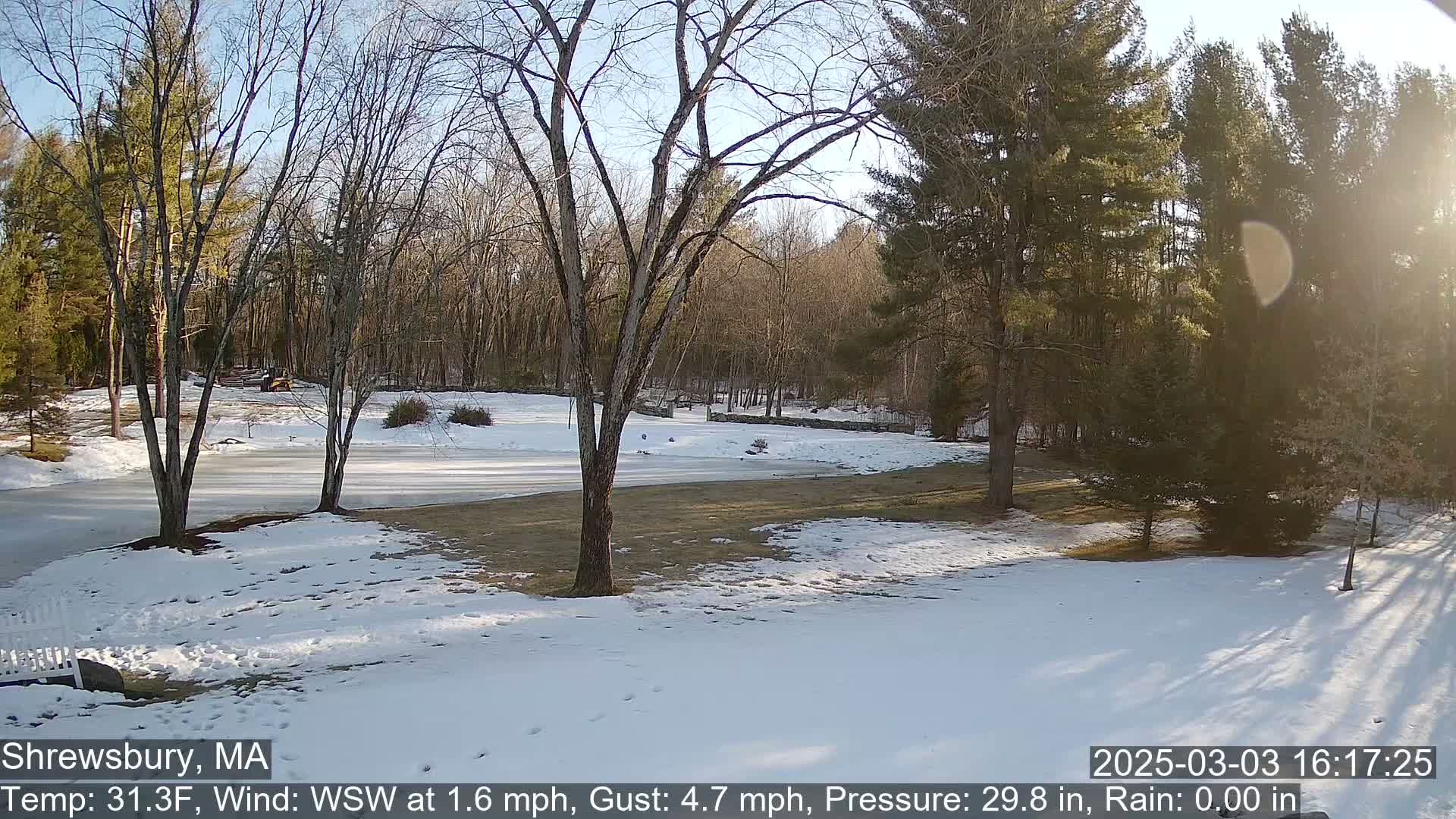 A partly sunny, snow-covered yard with leafless trees and a frozen patch of ground is visible beyond a snow-covered lawn.