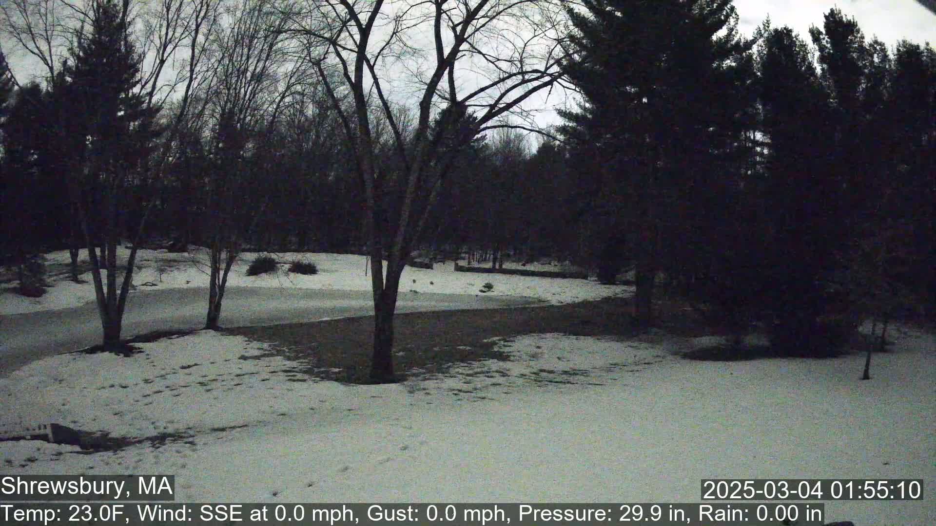 A snow-covered yard with bare trees and a partly cloudy sky at night.