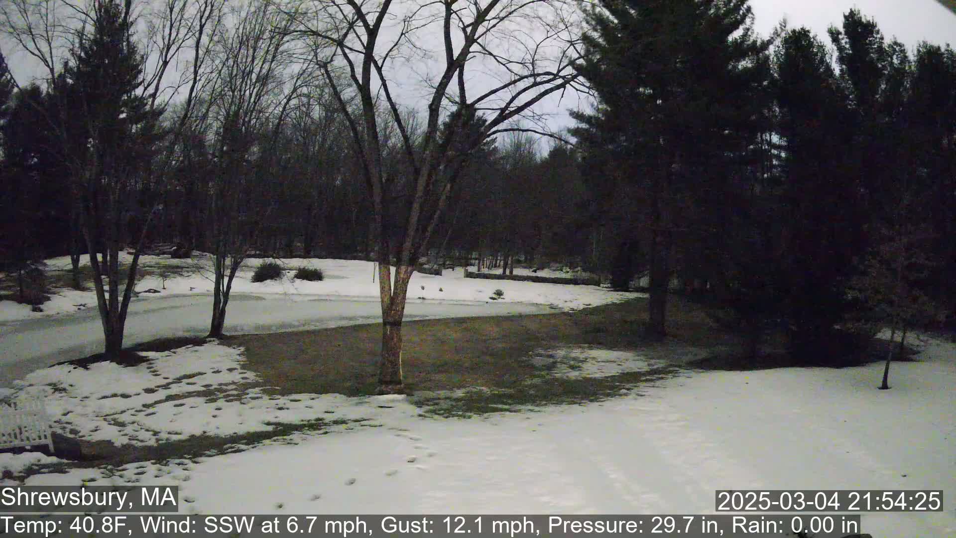 A snow-covered yard with bare trees under a twilight sky.