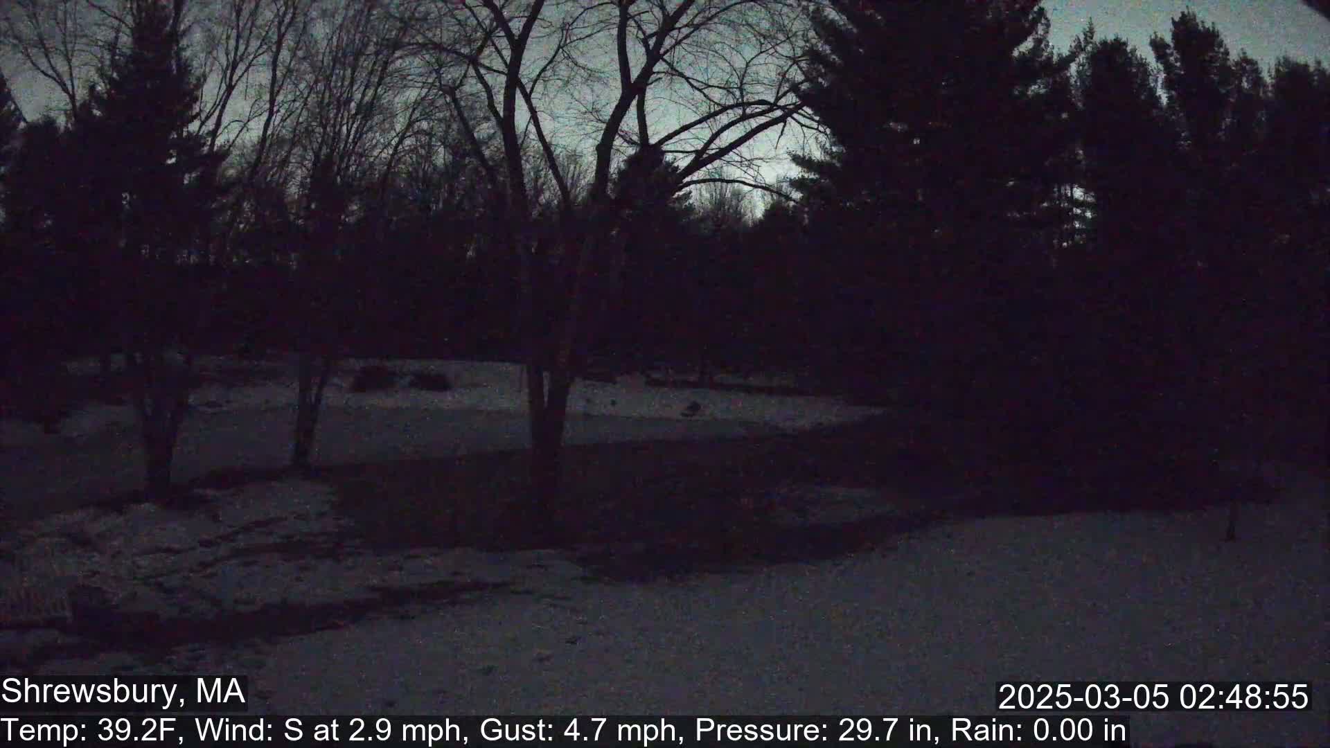 A snow-covered yard is surrounded by dark, bare trees under a twilight sky.