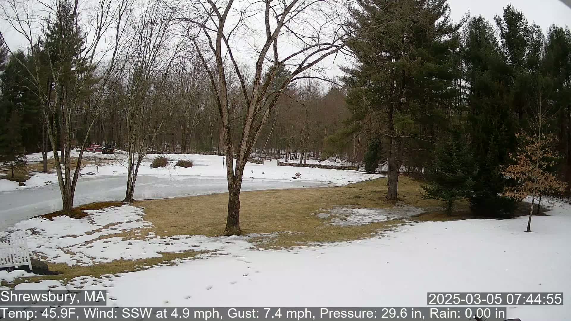 A snow-covered lawn and partially frozen pond are surrounded by bare deciduous trees and evergreens under a cloudy sky.