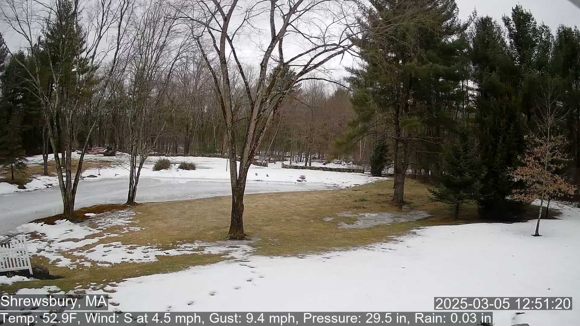 A snow-covered lawn with partially melted ice patches and bare deciduous trees surrounds a partially frozen pond, all under an overcast sky.