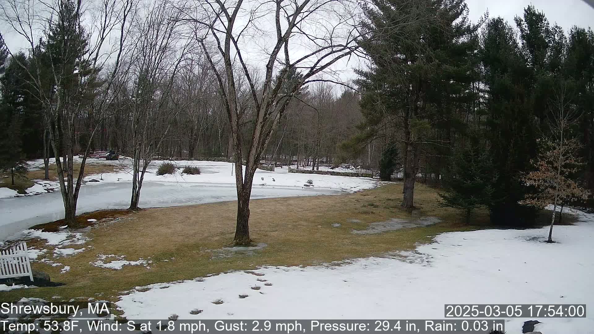 A partially frozen pond is visible in a snow-covered yard bordered by bare deciduous trees and evergreens under an overcast sky.