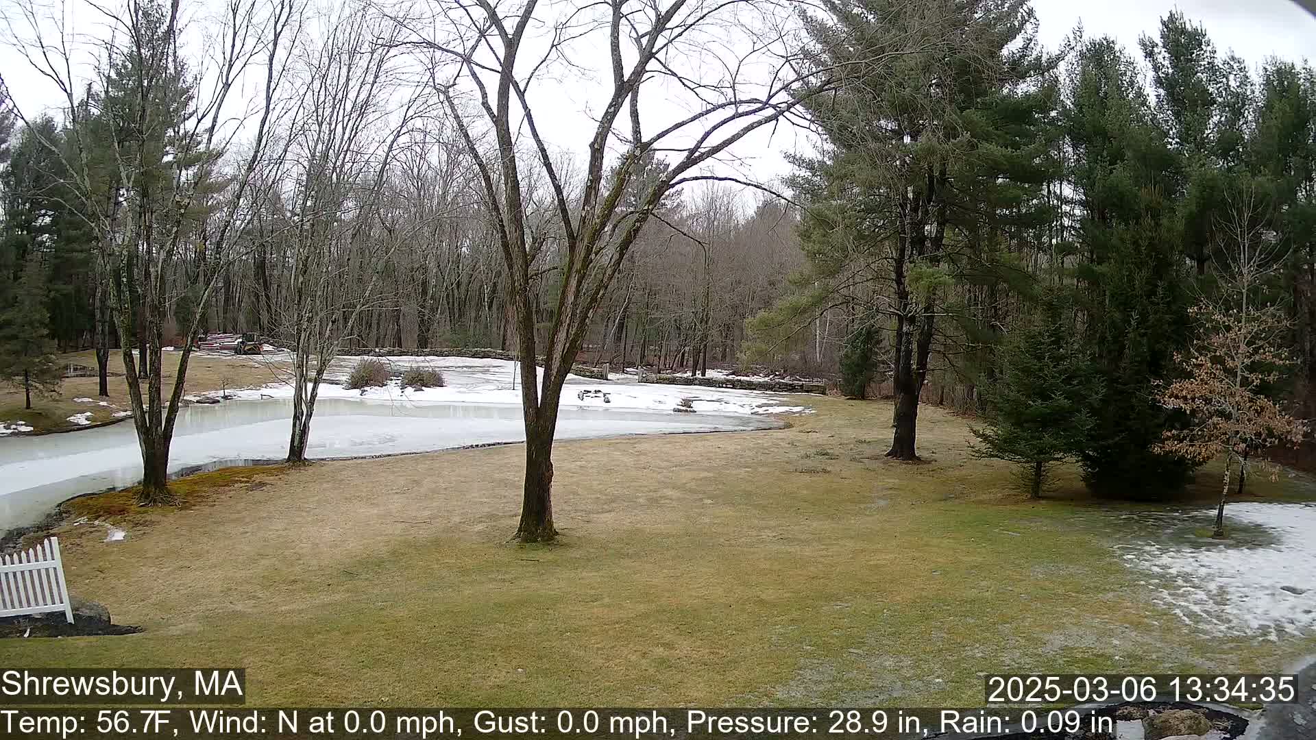 A partially frozen pond is situated on a lawn bordered by bare deciduous trees and evergreens, with light rain falling.