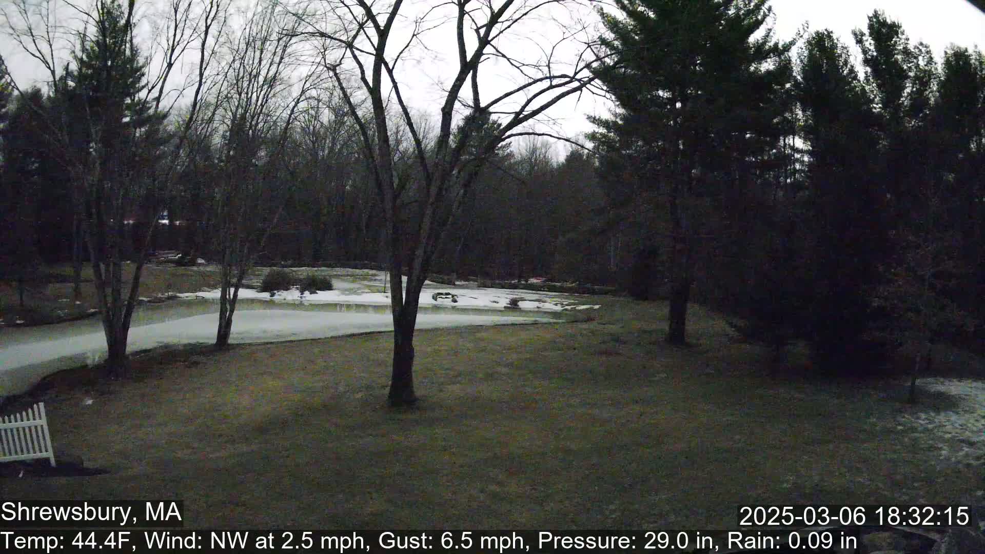 A partly icy, grassy yard is bordered by leafless trees and evergreens under an overcast sky.
