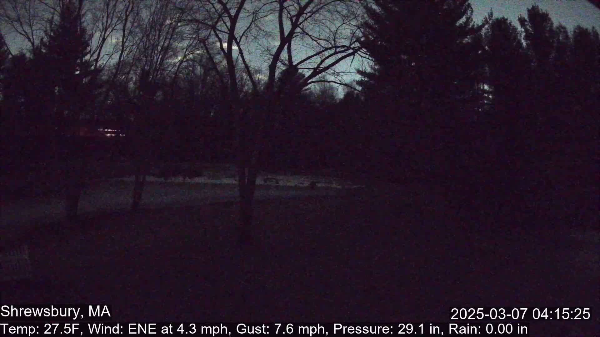 A dark, nighttime view of a snow-covered yard and trees under a mostly clear, dusky sky.