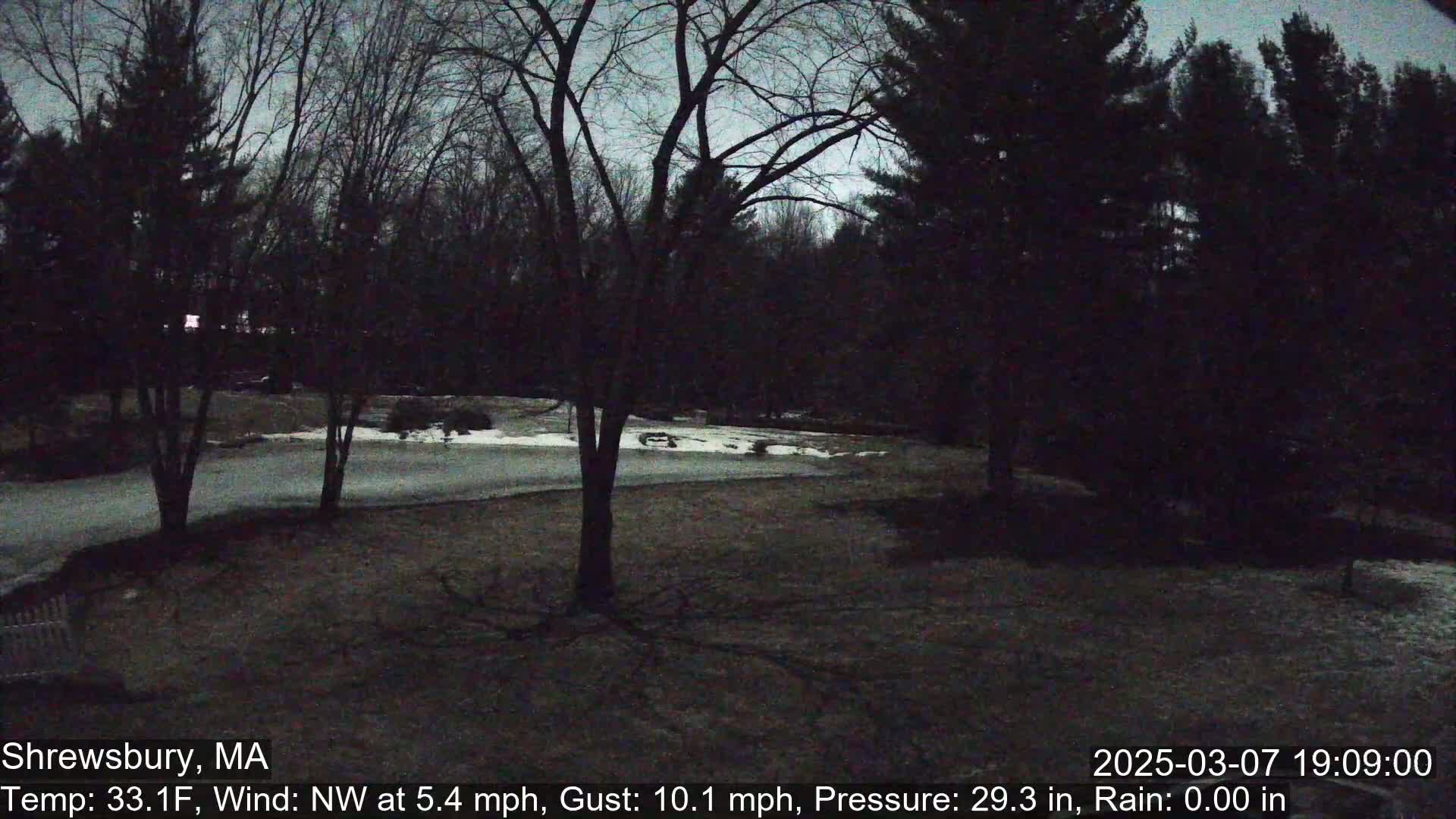 A nighttime view of a snow-covered yard surrounded by dark trees under a twilight sky.