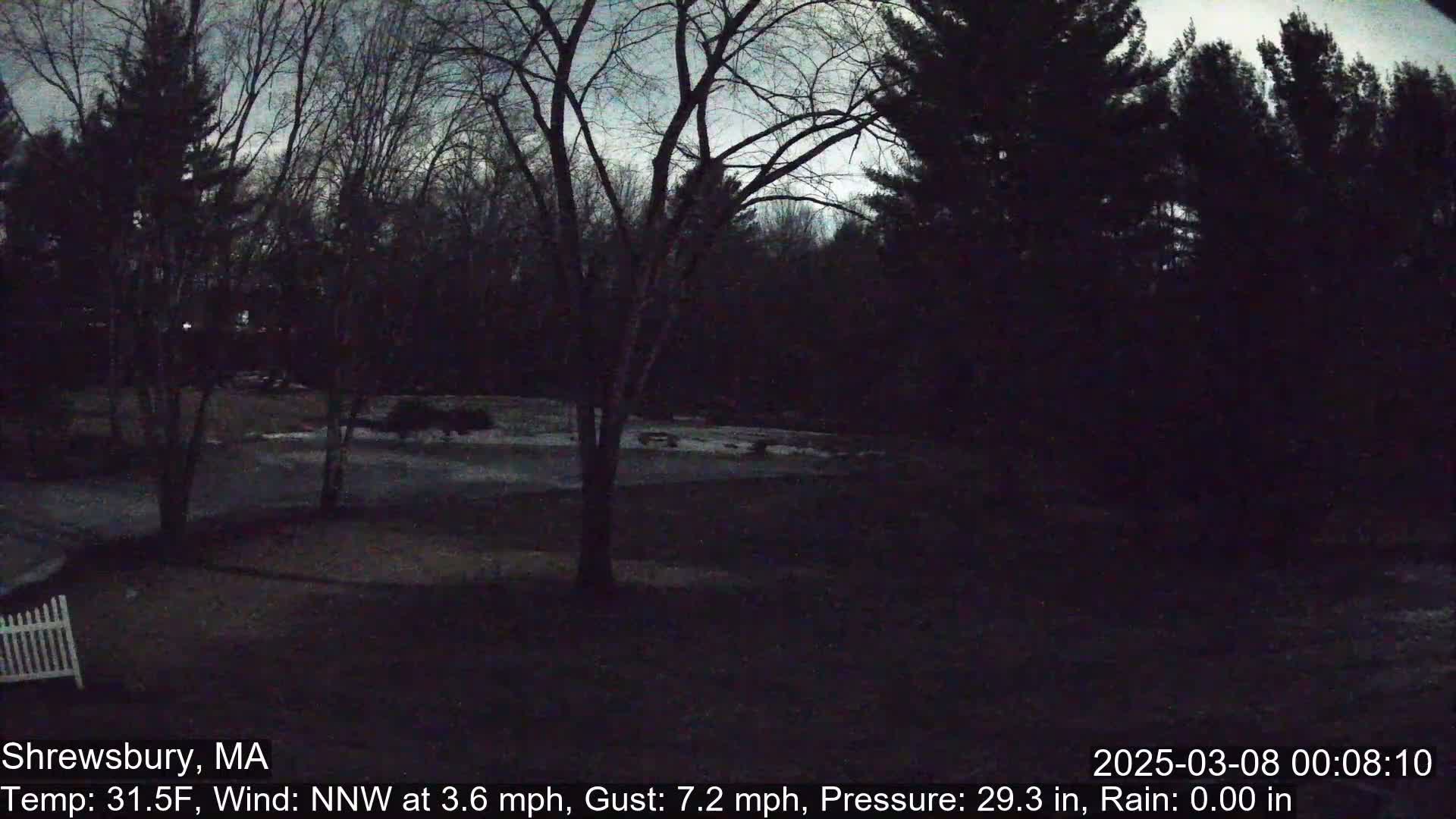 A dark, nighttime scene shows a snow-covered yard bordered by bare trees under a mostly clear, dusky sky.