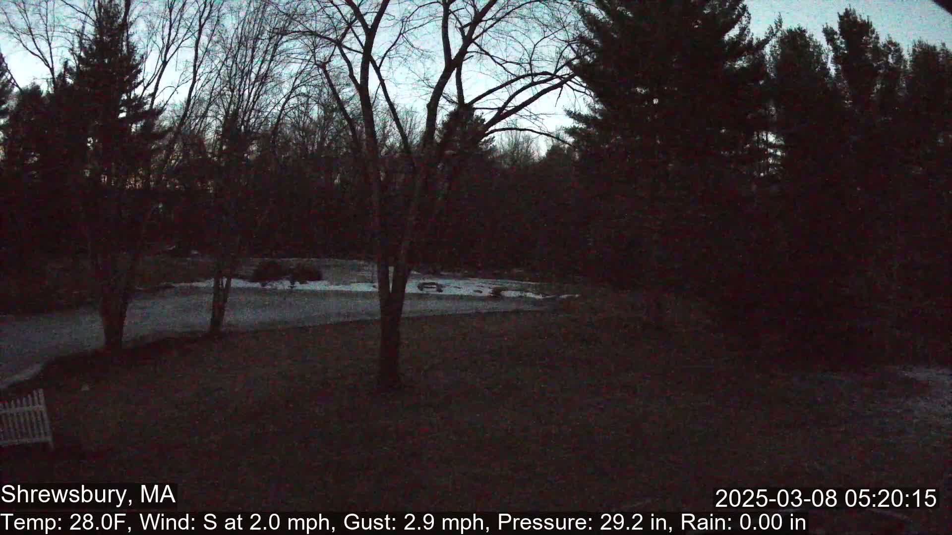 A dark, pre-dawn view of a yard and wooded area, with a light south wind and a temperature of 28 degrees Fahrenheit.
