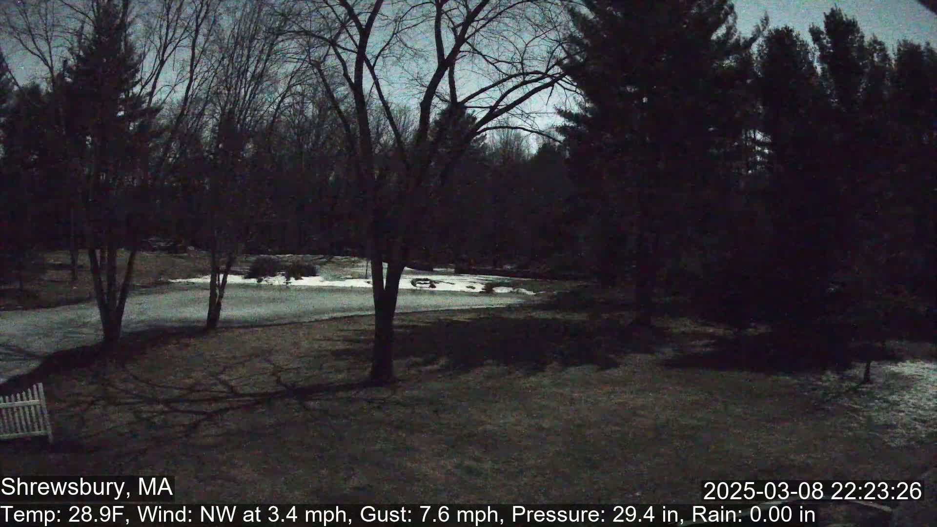 A nighttime view of a snow-covered yard surrounded by bare trees under a dark sky.
