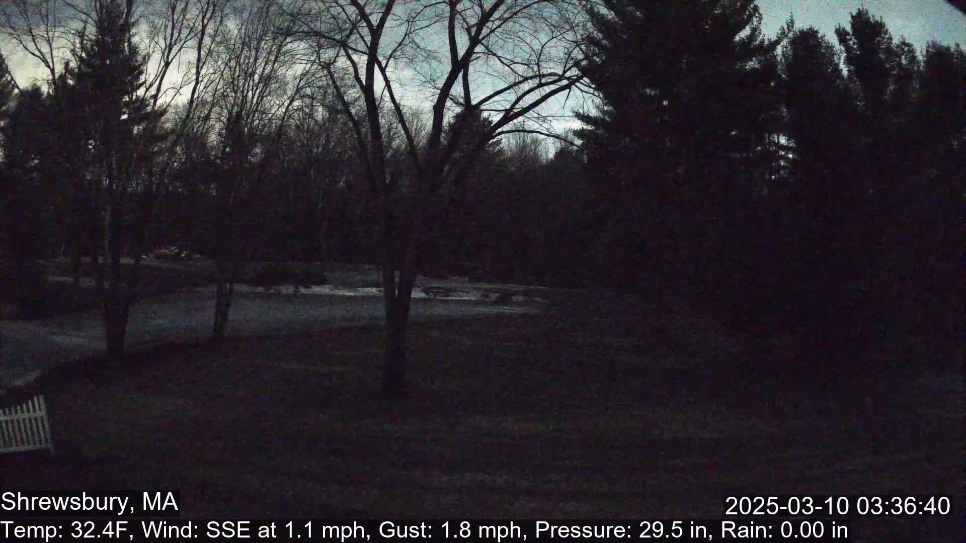 A dark, nighttime view of a wooded area under a mostly cloudy sky, with a hint of light on the horizon.
