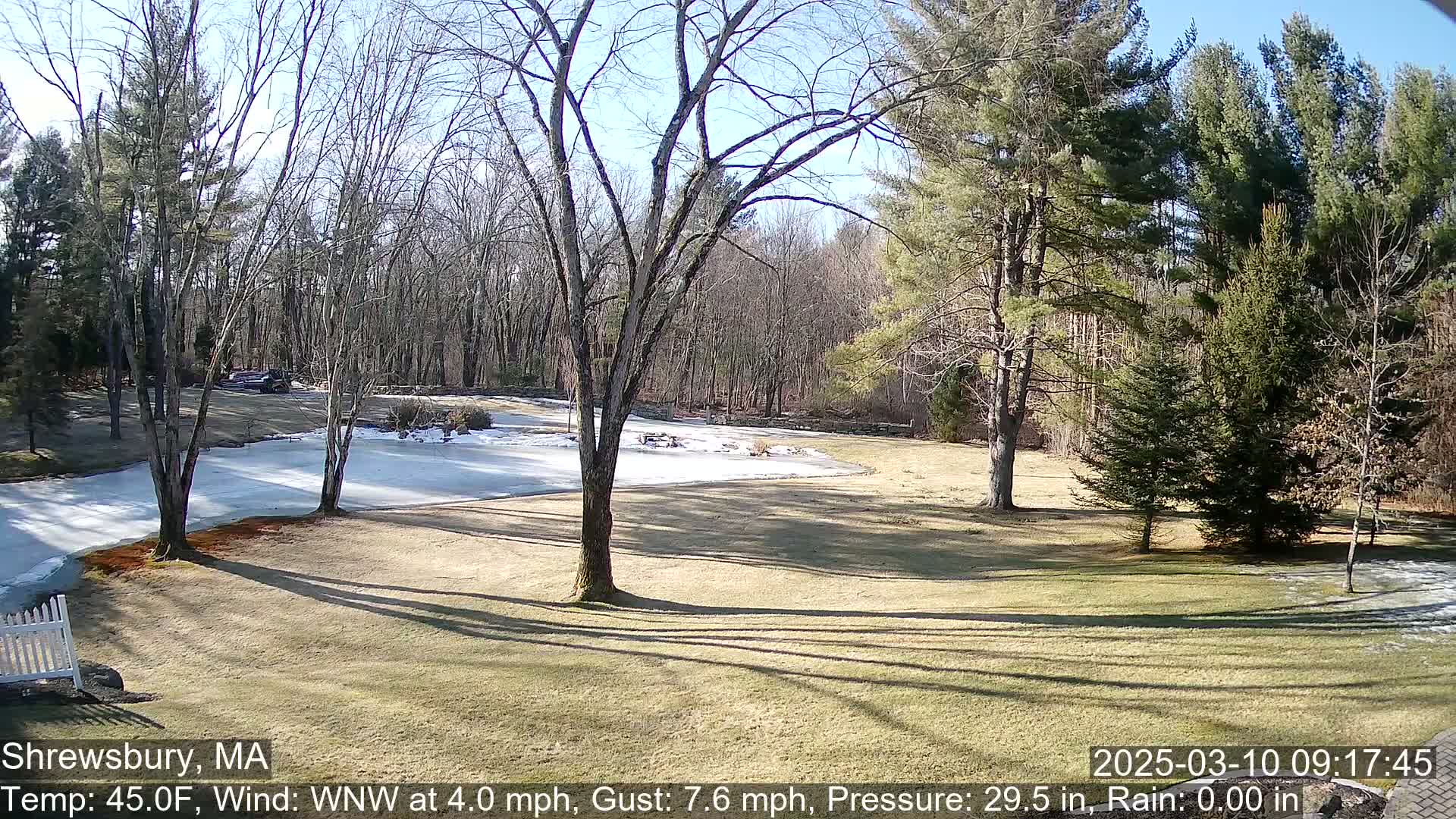 A sunny day with a partially icy lawn and leafless trees in a wooded area.