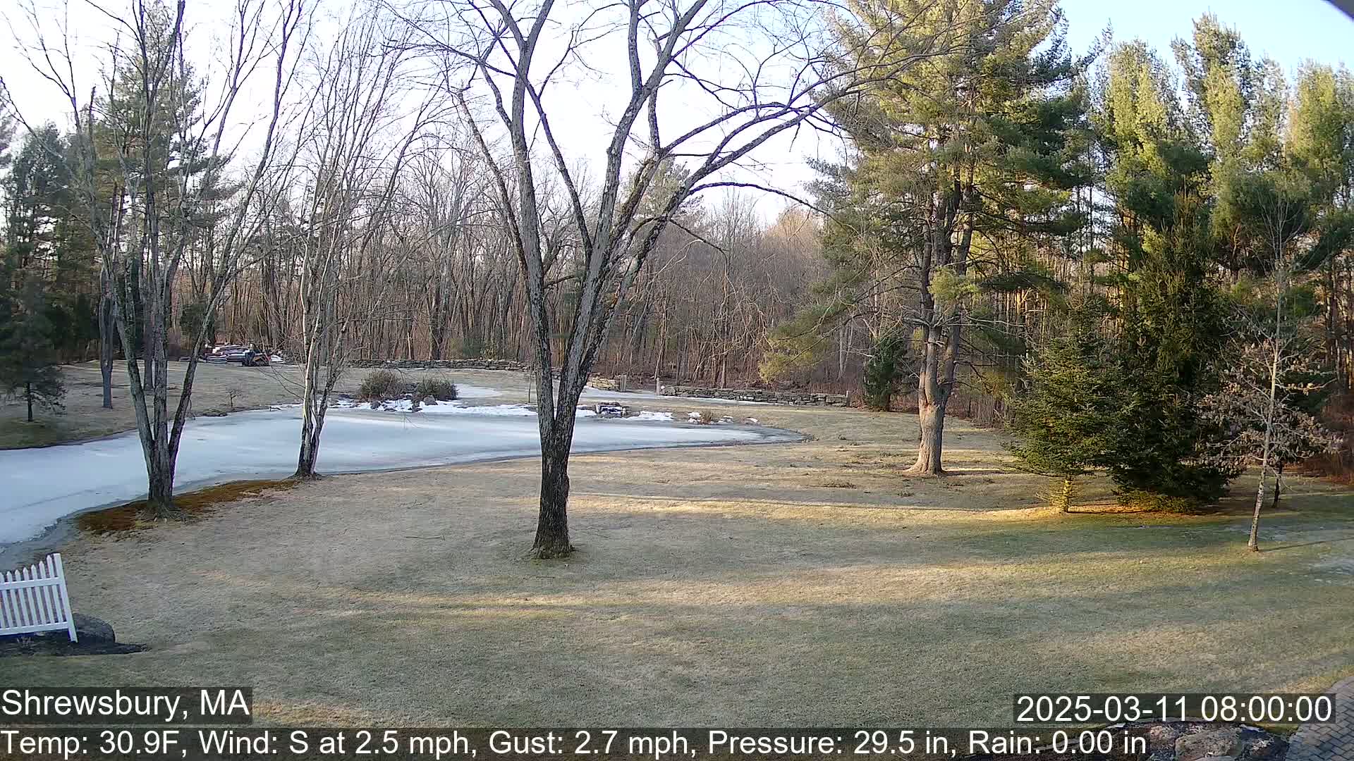 A partly frozen pond is visible in a grassy area surrounded by leafless trees and evergreens under a clear, sunny sky.