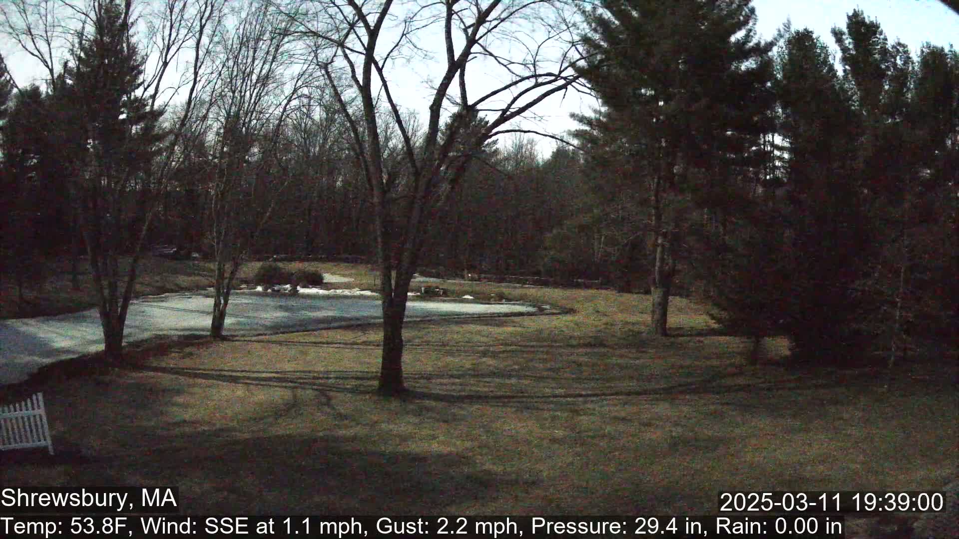 A mostly barren, grassy yard with leafless trees and a partially frozen body of water in the background under a cloudy sky.