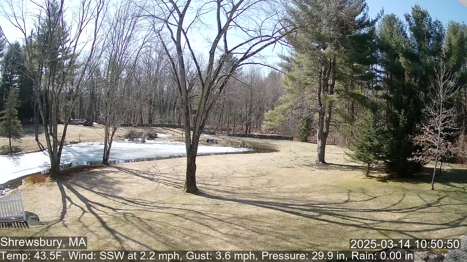 A partly frozen pond is nestled in a sunny, grassy yard surrounded by leafless trees and a wooded area.