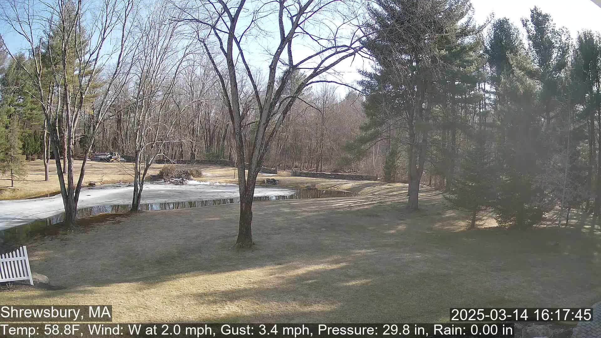 A partly frozen pond sits in a sunny, grassy yard surrounded by leafless trees and a wooded area.