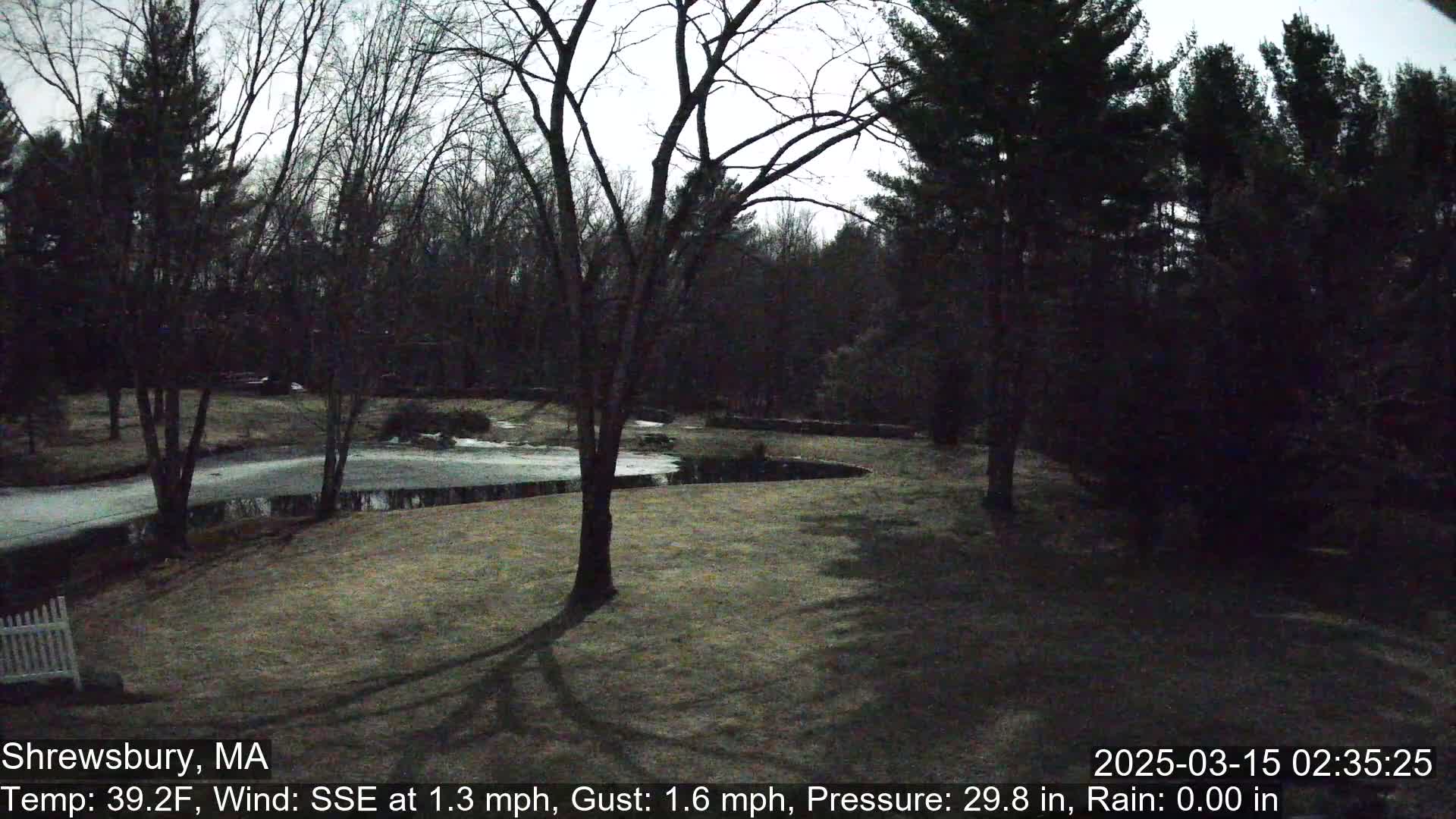 A mostly dark, overcast view of a backyard with bare trees surrounding a partially frozen pond.