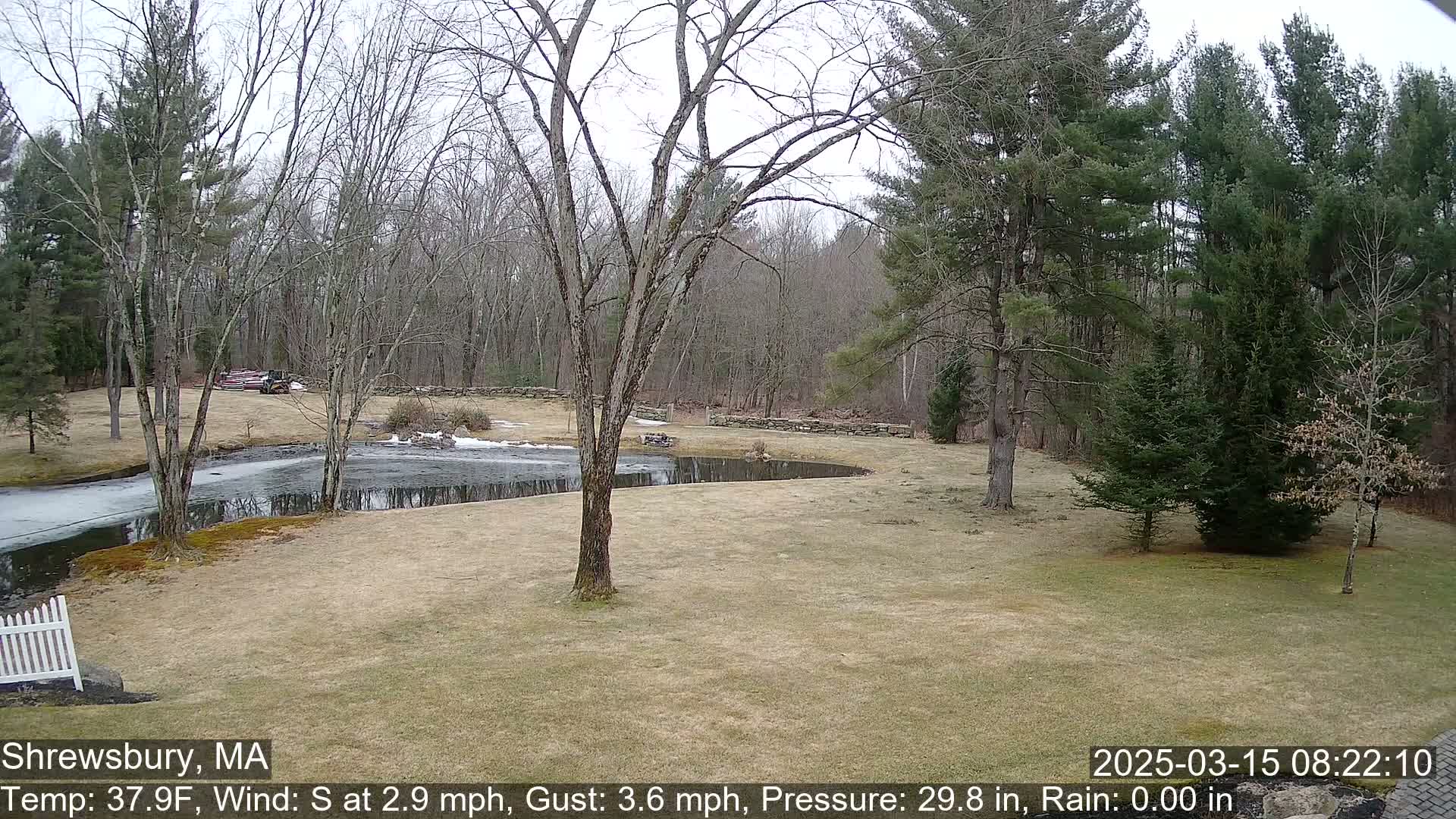 A partly frozen pond is situated on a lawn surrounded by leafless deciduous trees and evergreen conifers under an overcast sky.