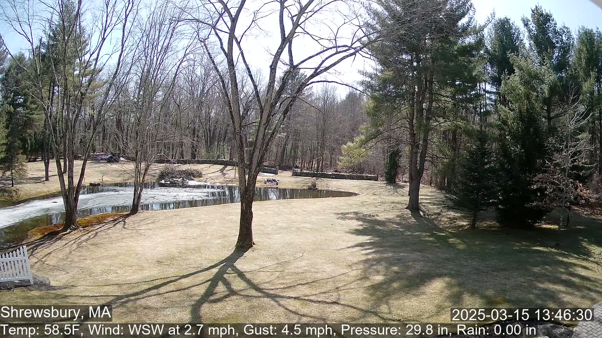 A partly frozen pond is situated on a grassy area surrounded by bare deciduous trees and evergreens under a sunny sky.