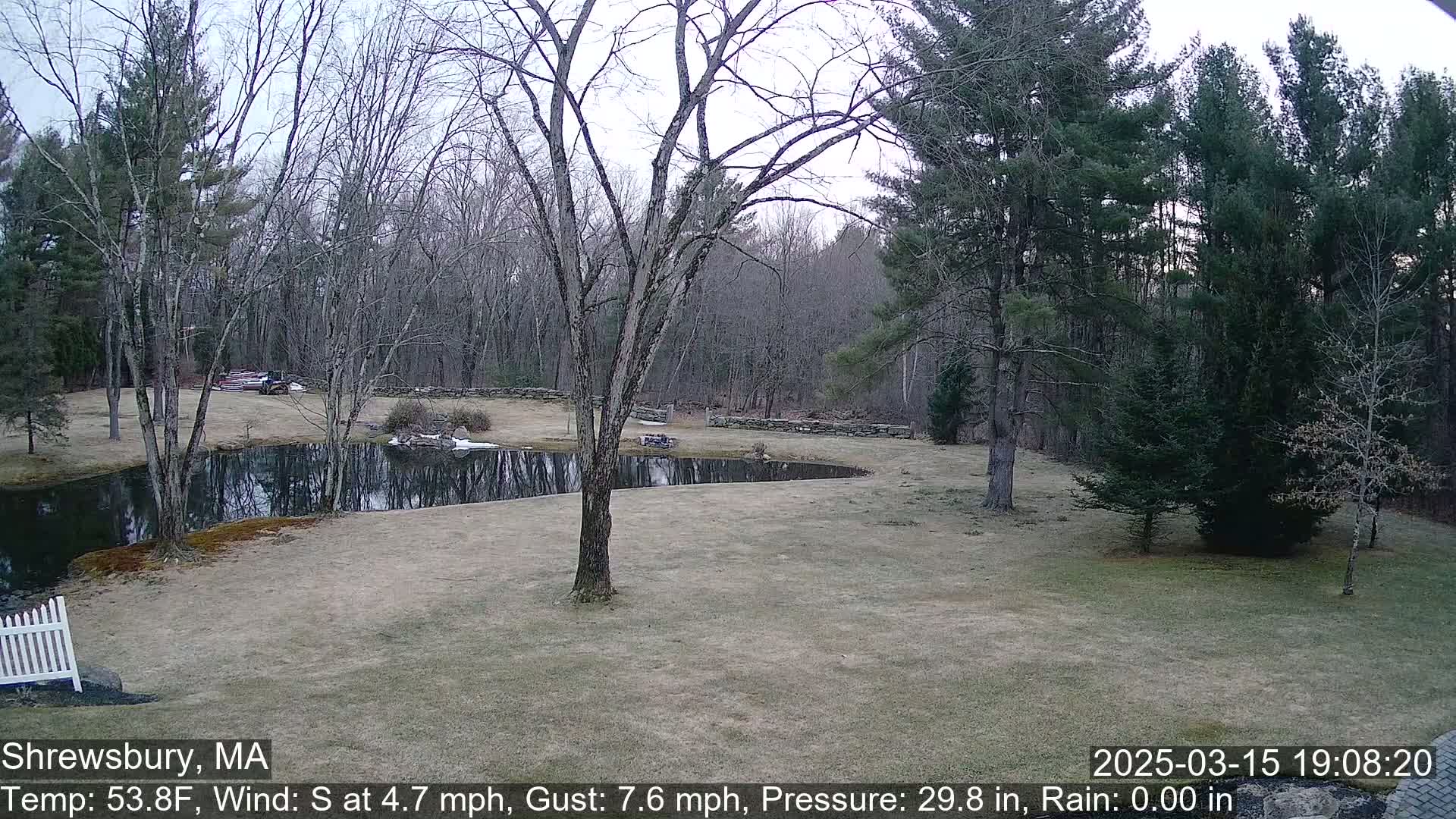 A calm, overcast day reveals a tranquil pond nestled within a grassy yard bordered by bare deciduous trees and evergreen pines.