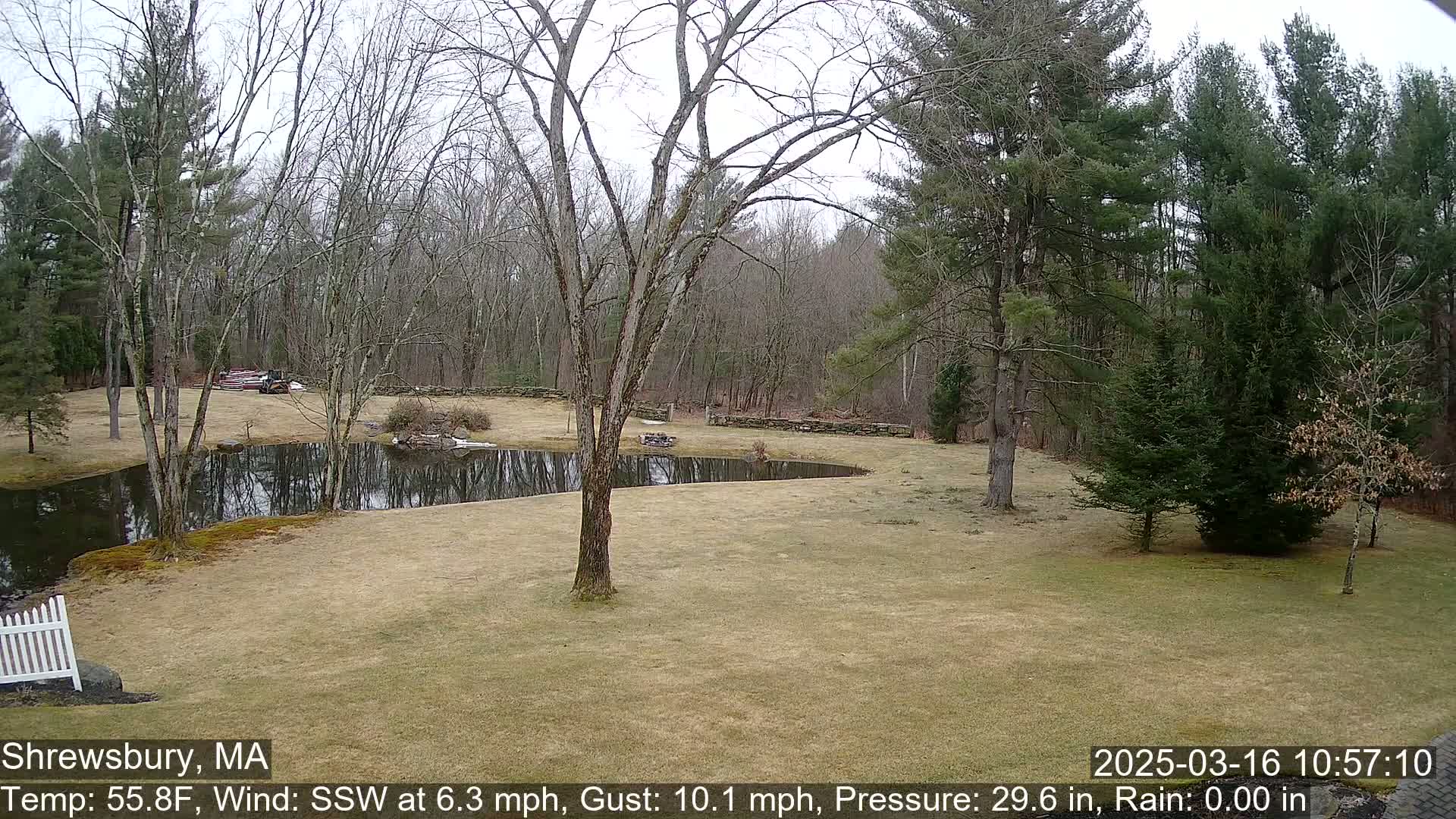 A mostly barren lawn with a pond and deciduous trees surrounds a wooded area under an overcast sky.
