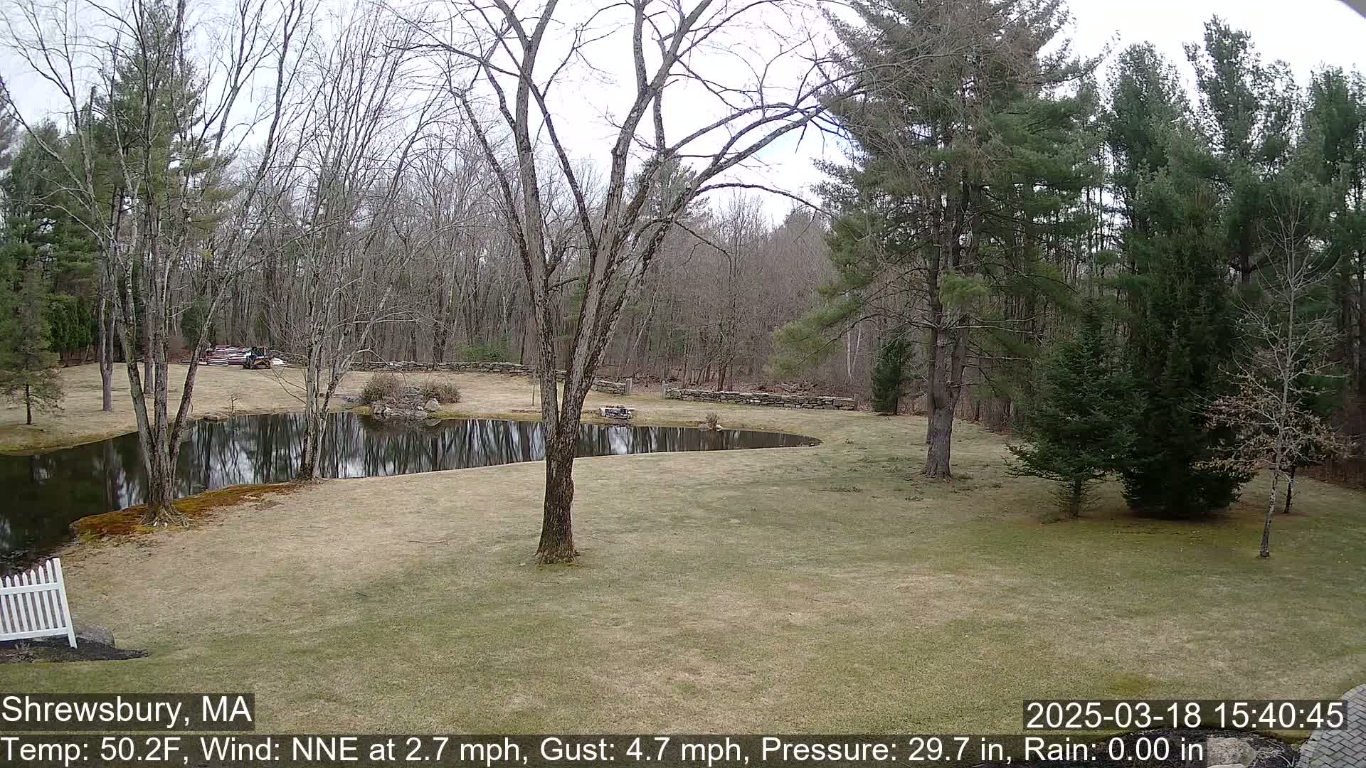 A calm, overcast day reveals a tranquil pond nestled within a sparsely wooded area, bordered by a stone wall and a grassy lawn.