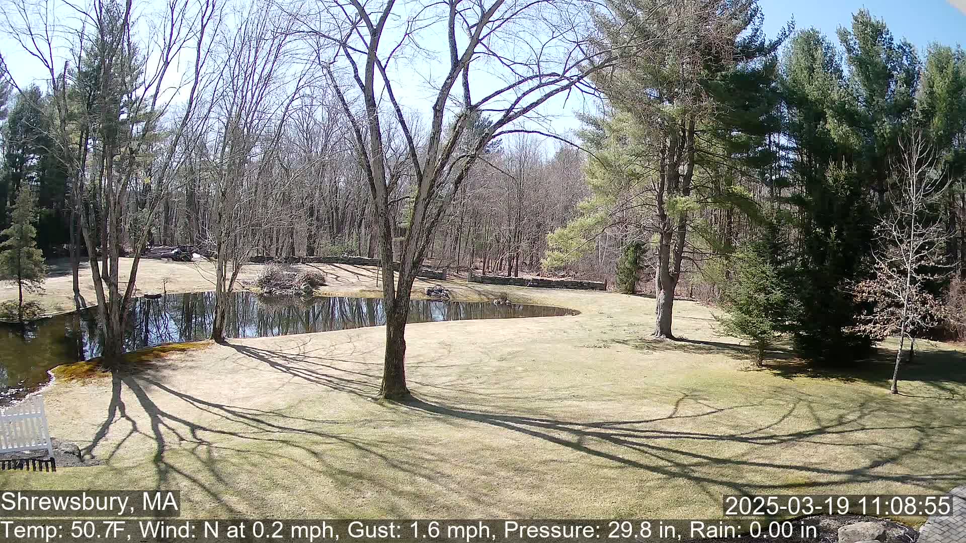 A sunny day shows a curving pond surrounded by a grassy yard and leafless trees bordering a wooded area.