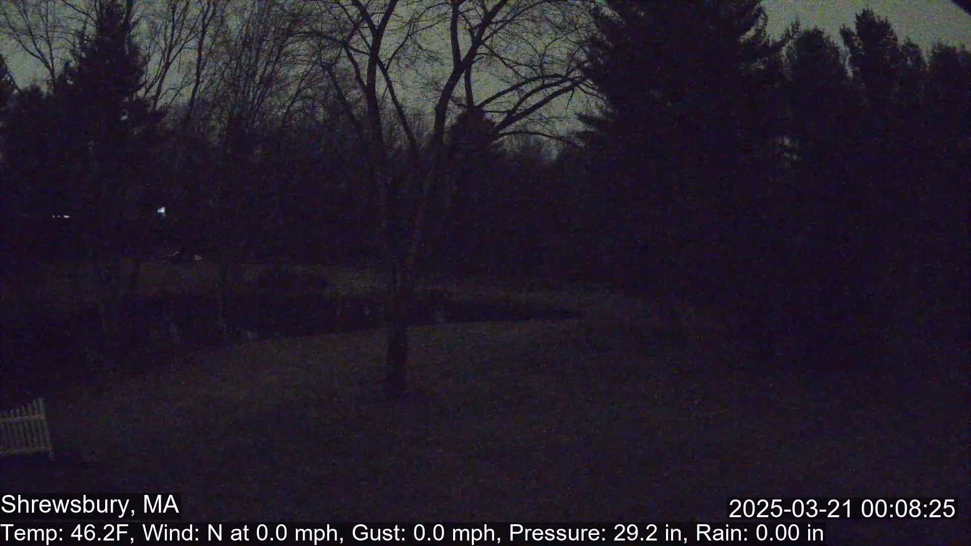 A nighttime view of a dark, wooded area with a few distant lights visible.