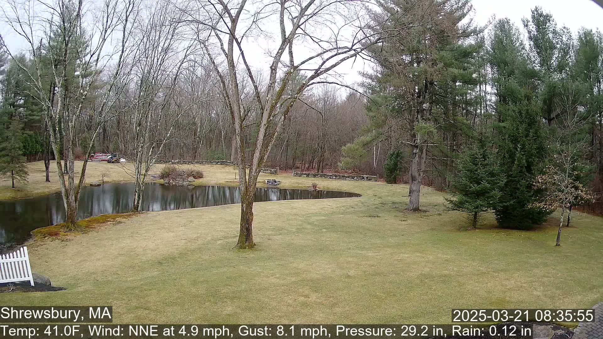 A curved pond reflects a cloudy sky in a grassy yard surrounded by leafless and evergreen trees.