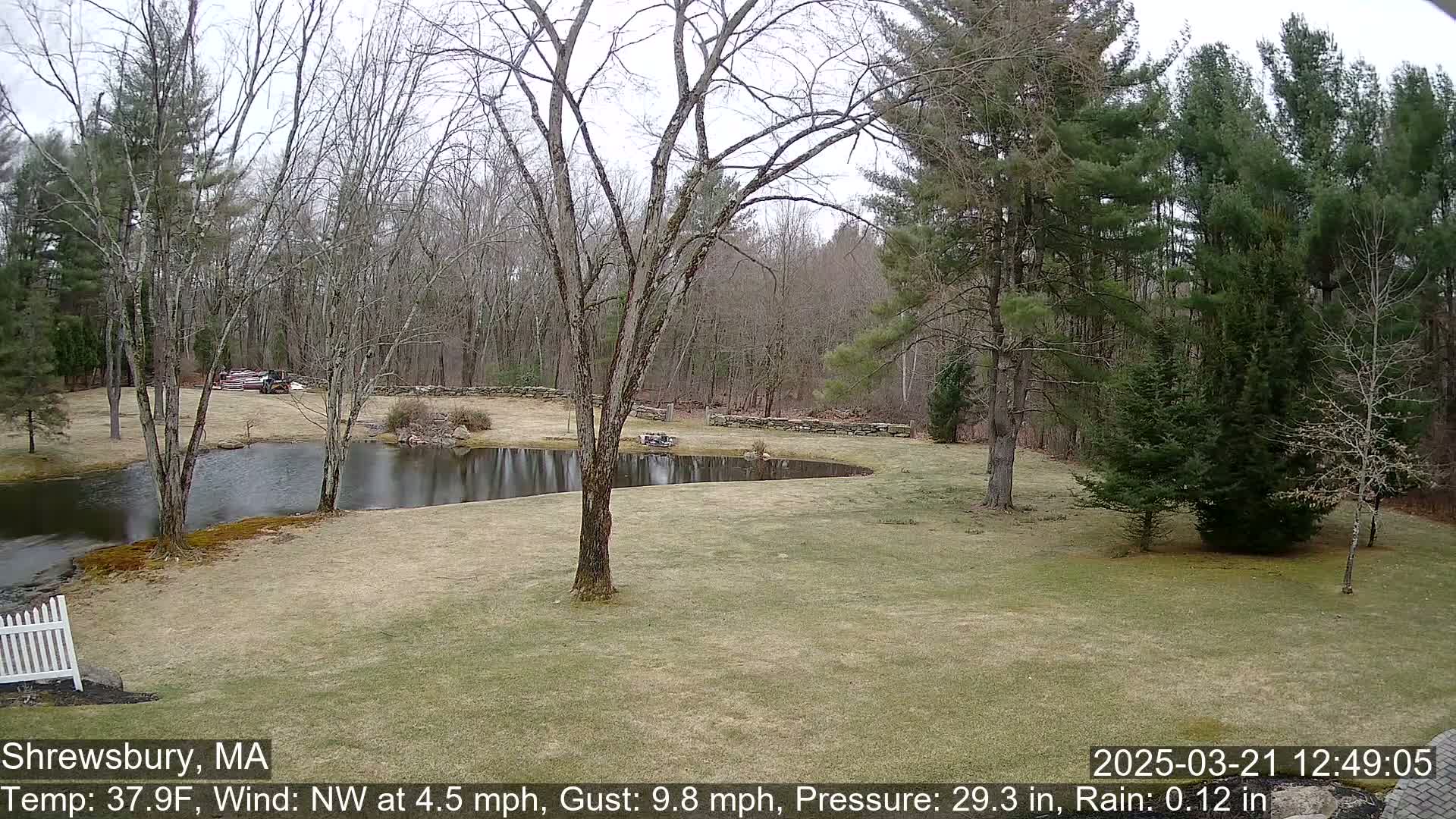 A pond sits in a grassy area surrounded by bare trees and evergreens under an overcast sky, with light rain falling.