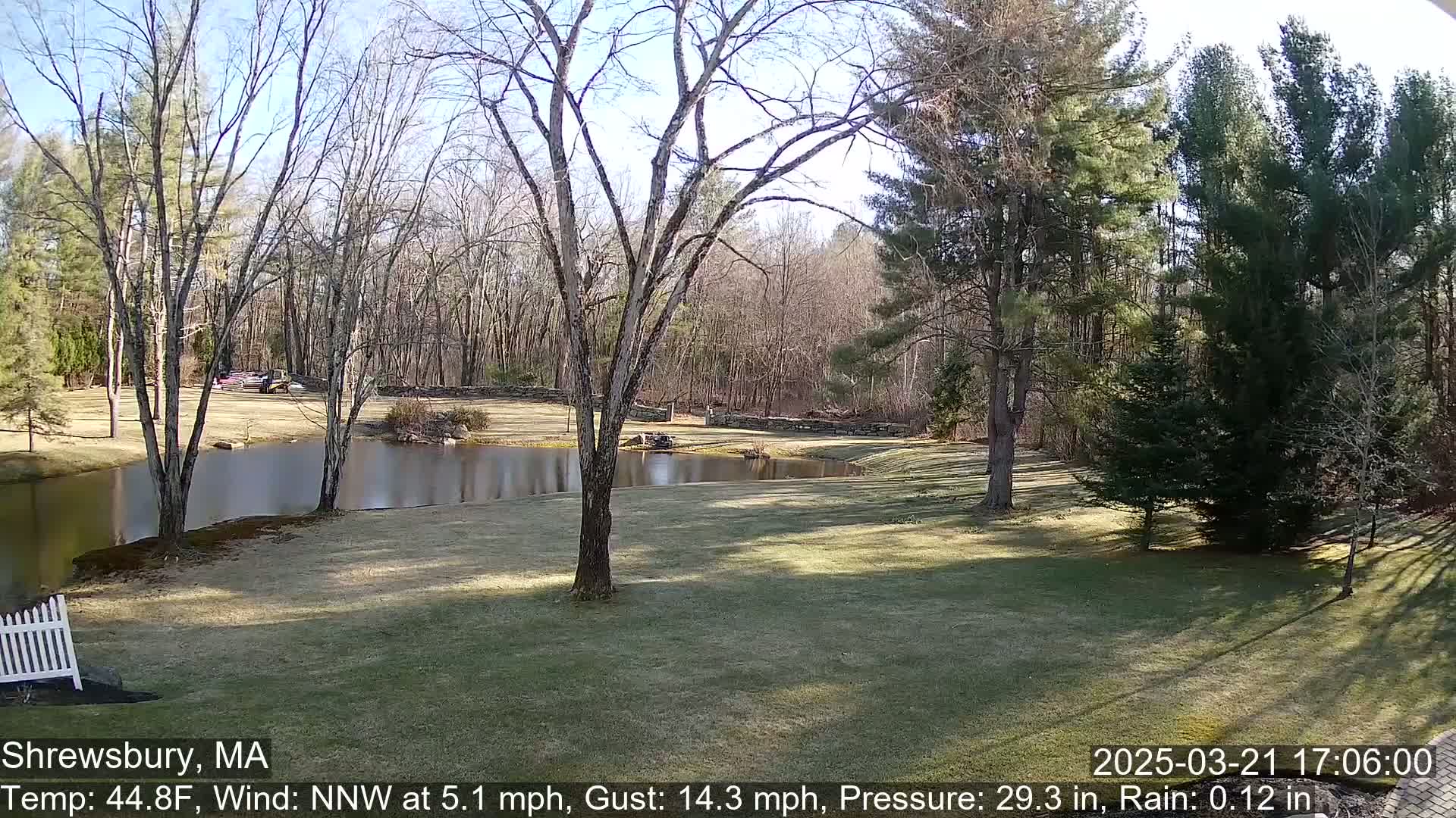 A sunny day reveals a tranquil pond surrounded by bare trees and a grassy lawn, with a wooded area in the background.