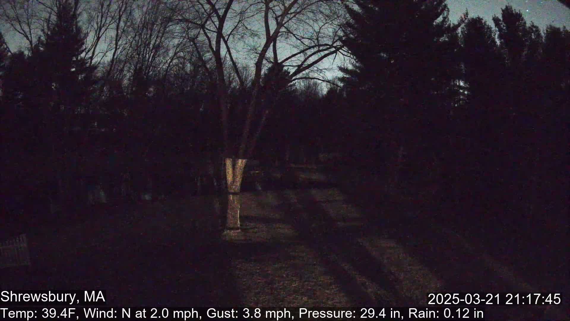 A dark, nighttime scene shows bare trees under a mostly clear sky, with shadows cast on the ground.