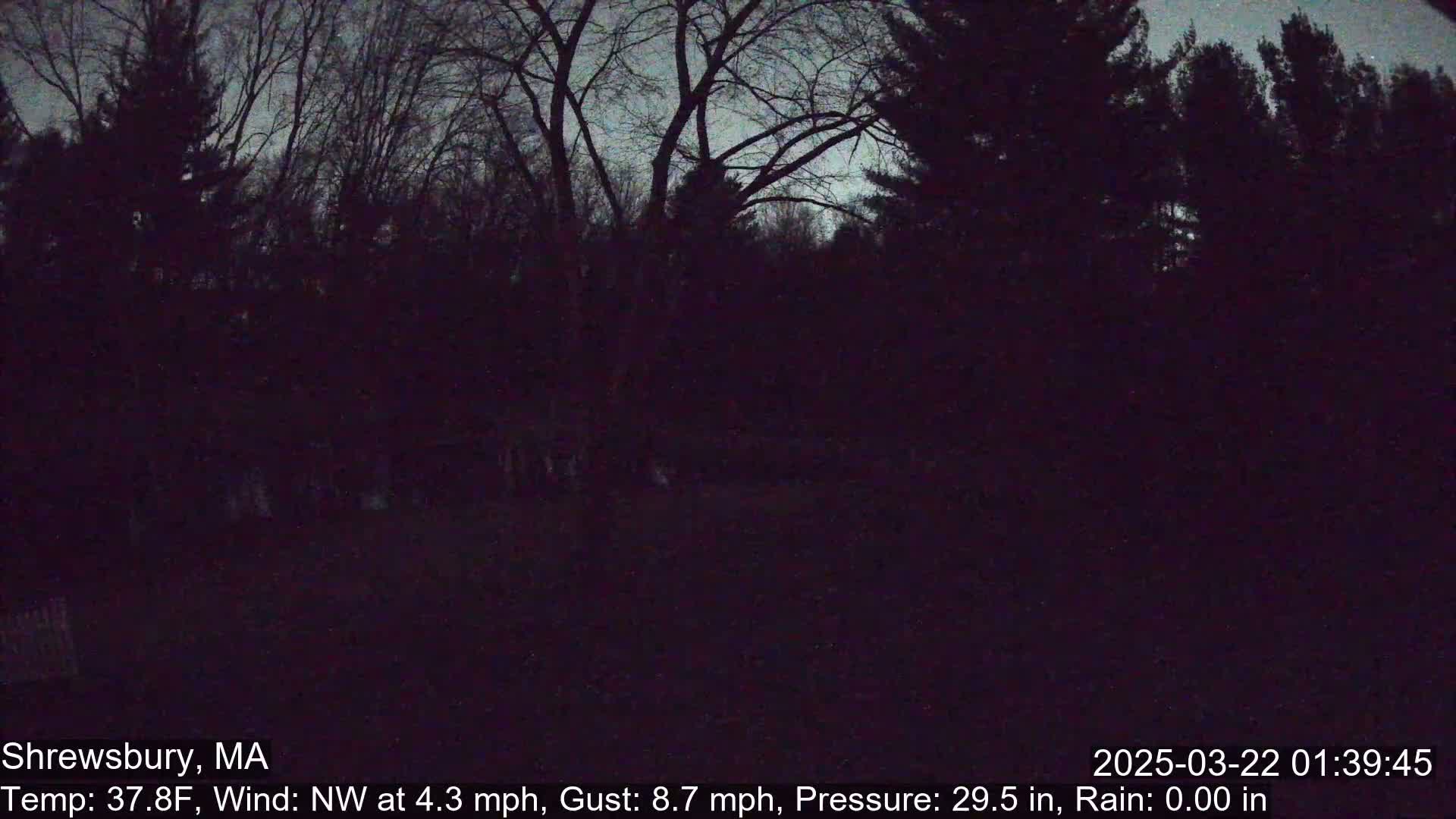 A nighttime view of dark, leafless trees under a twilight sky with a northwest wind.