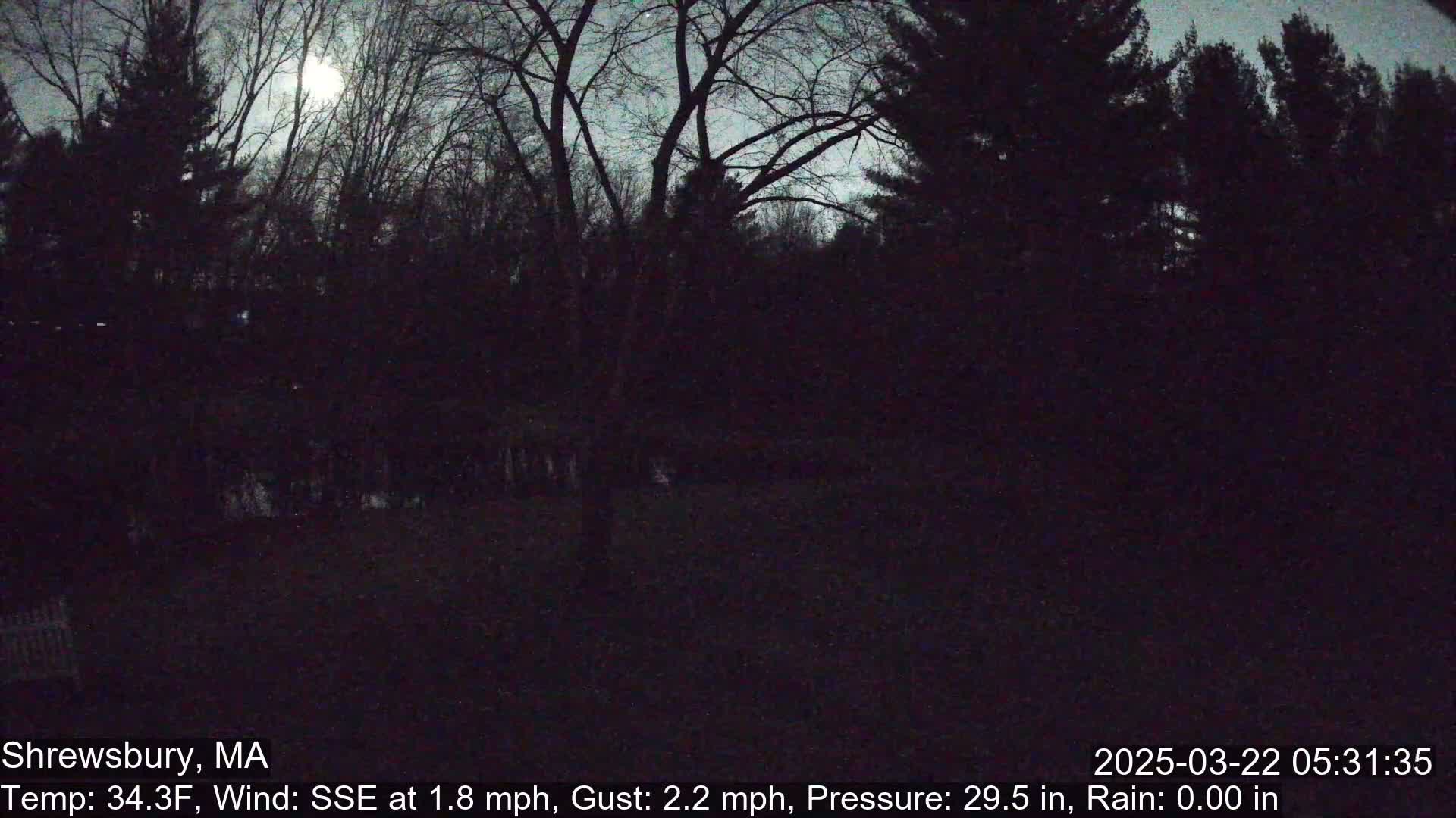 A nighttime view of a moonlit wooded area with a temperature of 34.3°F, a wind blowing from the southeast at 1.8 mph with gusts up to 2.2 mph, and no rain.