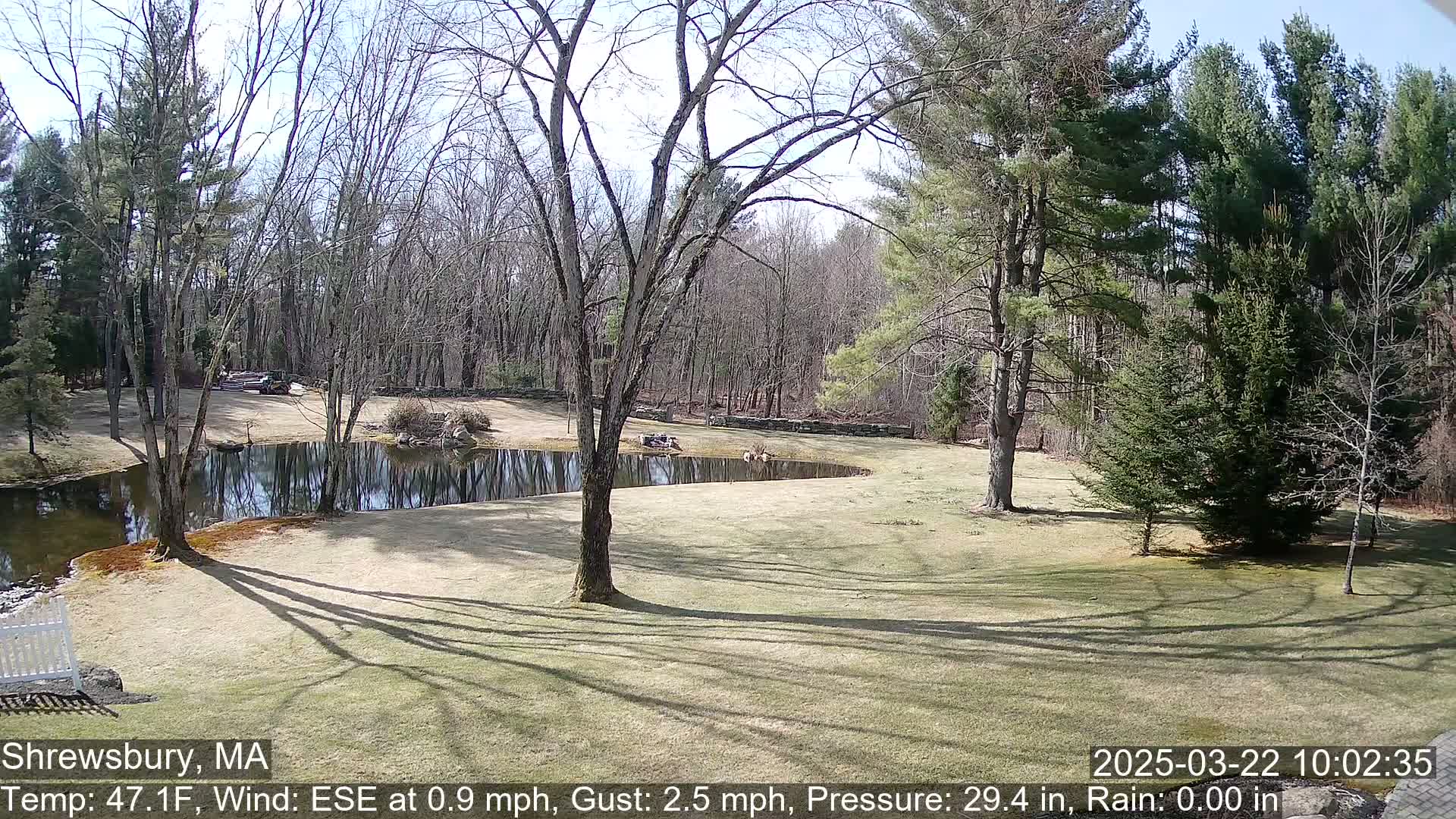 A sunny day shows a calm pond reflecting trees beside a grassy lawn bordered by a wooded area.