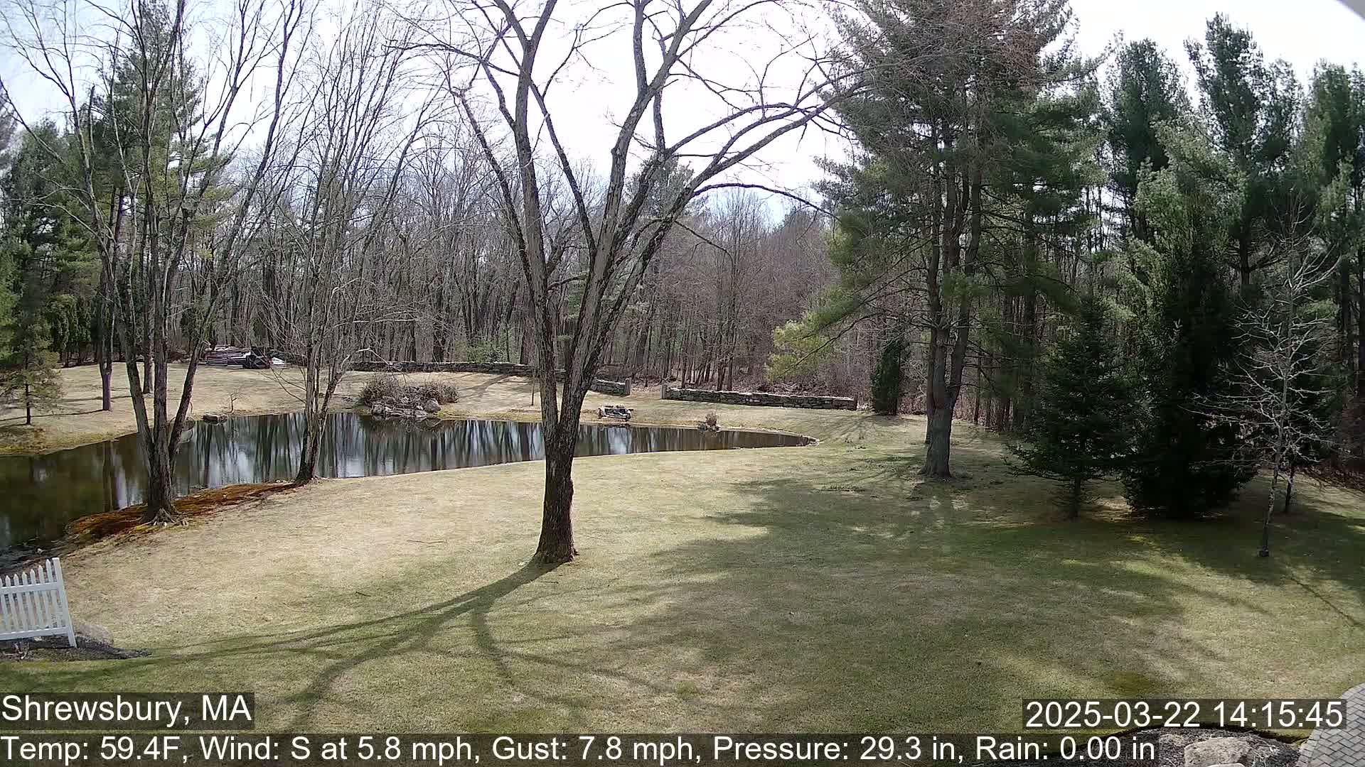 A tranquil pond sits in a grassy yard bordered by bare deciduous trees and evergreen conifers under a partly sunny sky.