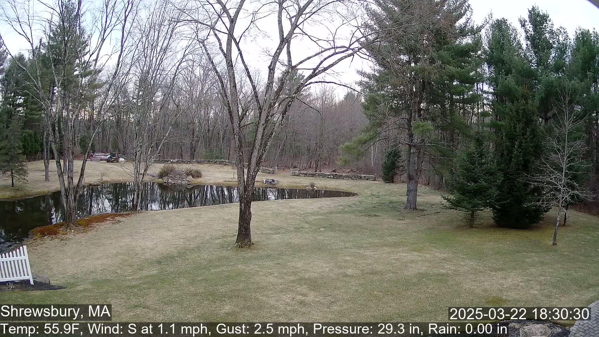 A tranquil backyard scene on a partly cloudy day shows a pond reflecting bare trees, a grassy lawn, and a line of evergreen trees bordering a wooded area.