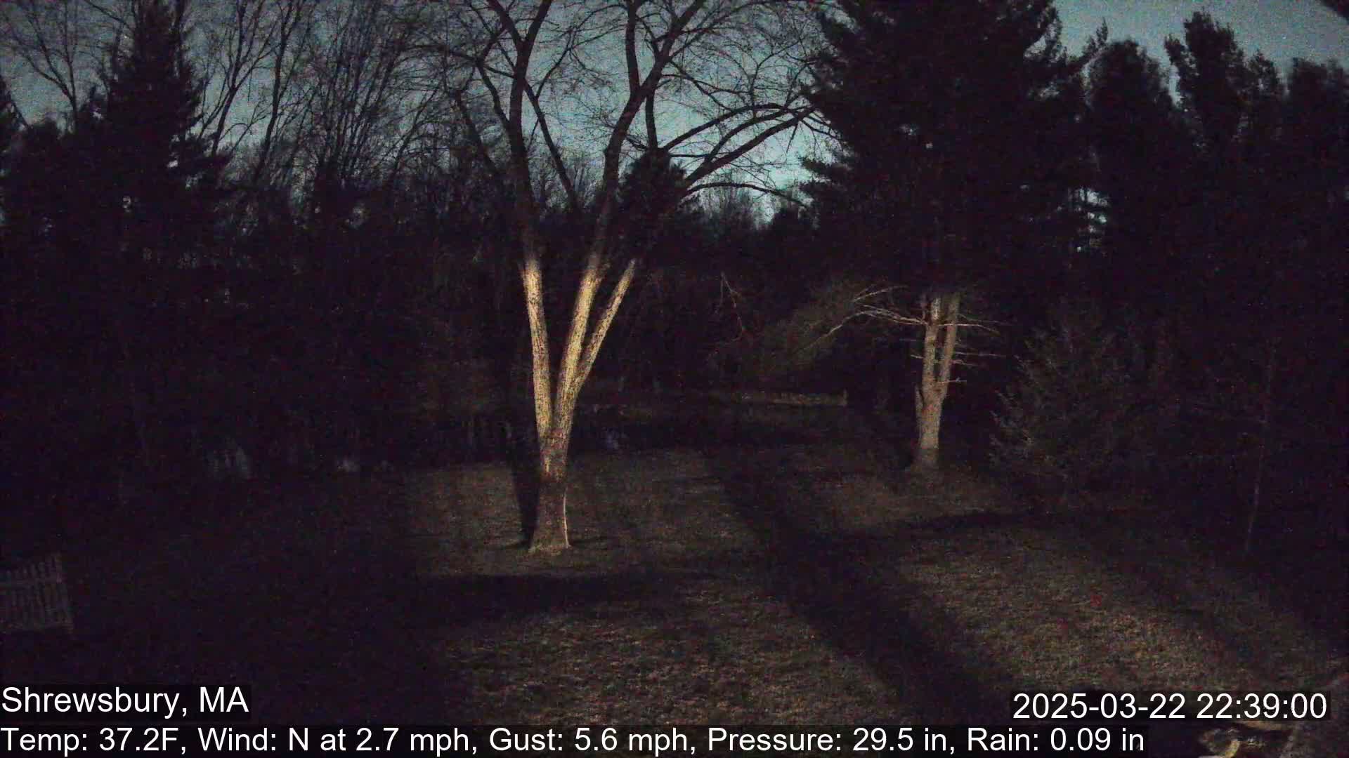 A nighttime view of a backyard with bare trees under a dark sky, with light rain.