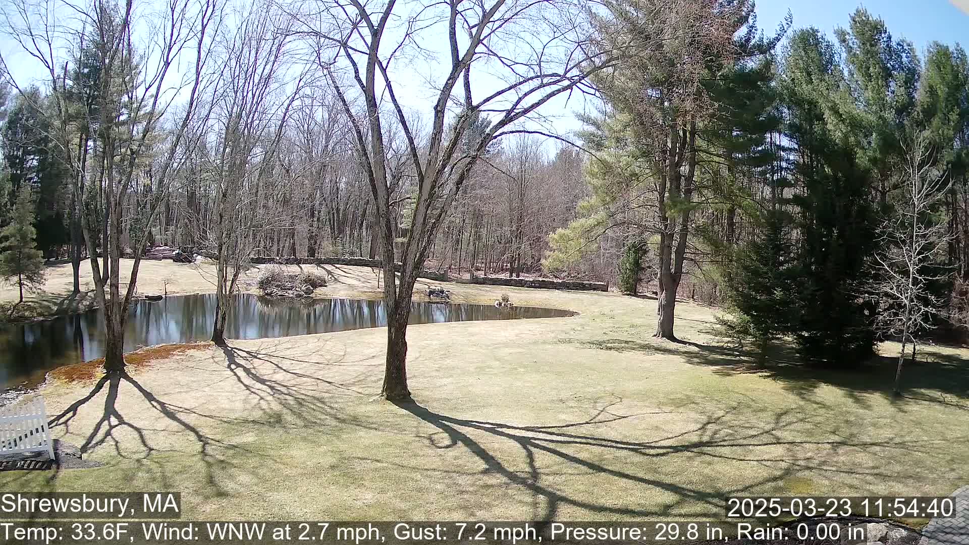 A sunny day shows a pond curving through a grassy area bordered by leafless trees and evergreen trees, with the shadows of trees cast on the lawn.