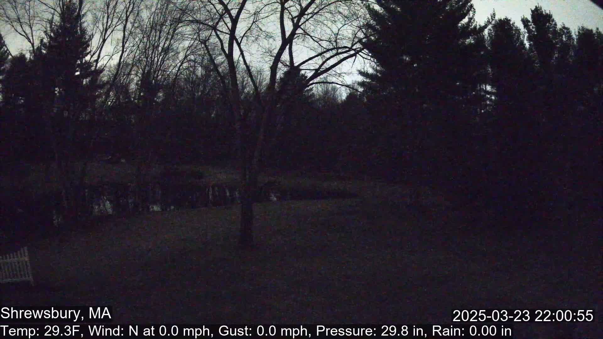 A nighttime view of a backyard with trees and a body of water under a cloudy sky.
