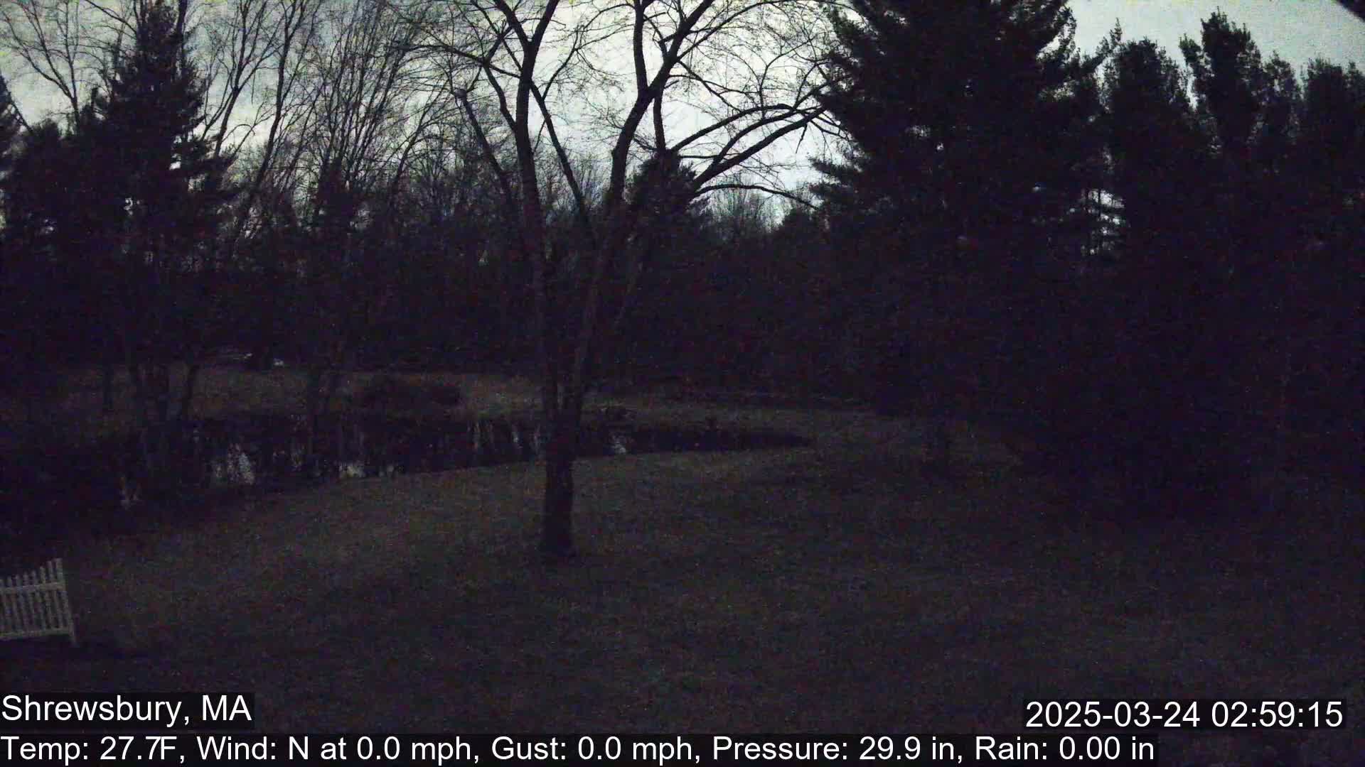 A dark, nighttime scene of a wooded area with a calm body of water visible in the distance under a cloudy sky.