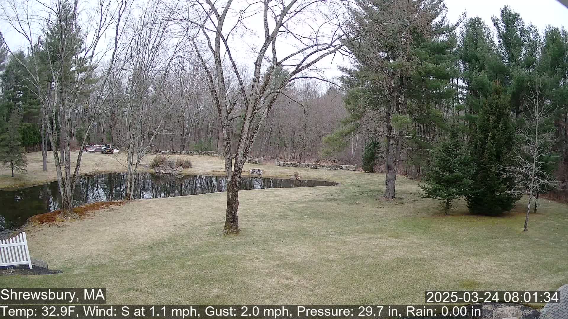 A mostly barren, grassy yard with a small pond and stone wall borders a wooded area under a cloudy sky.