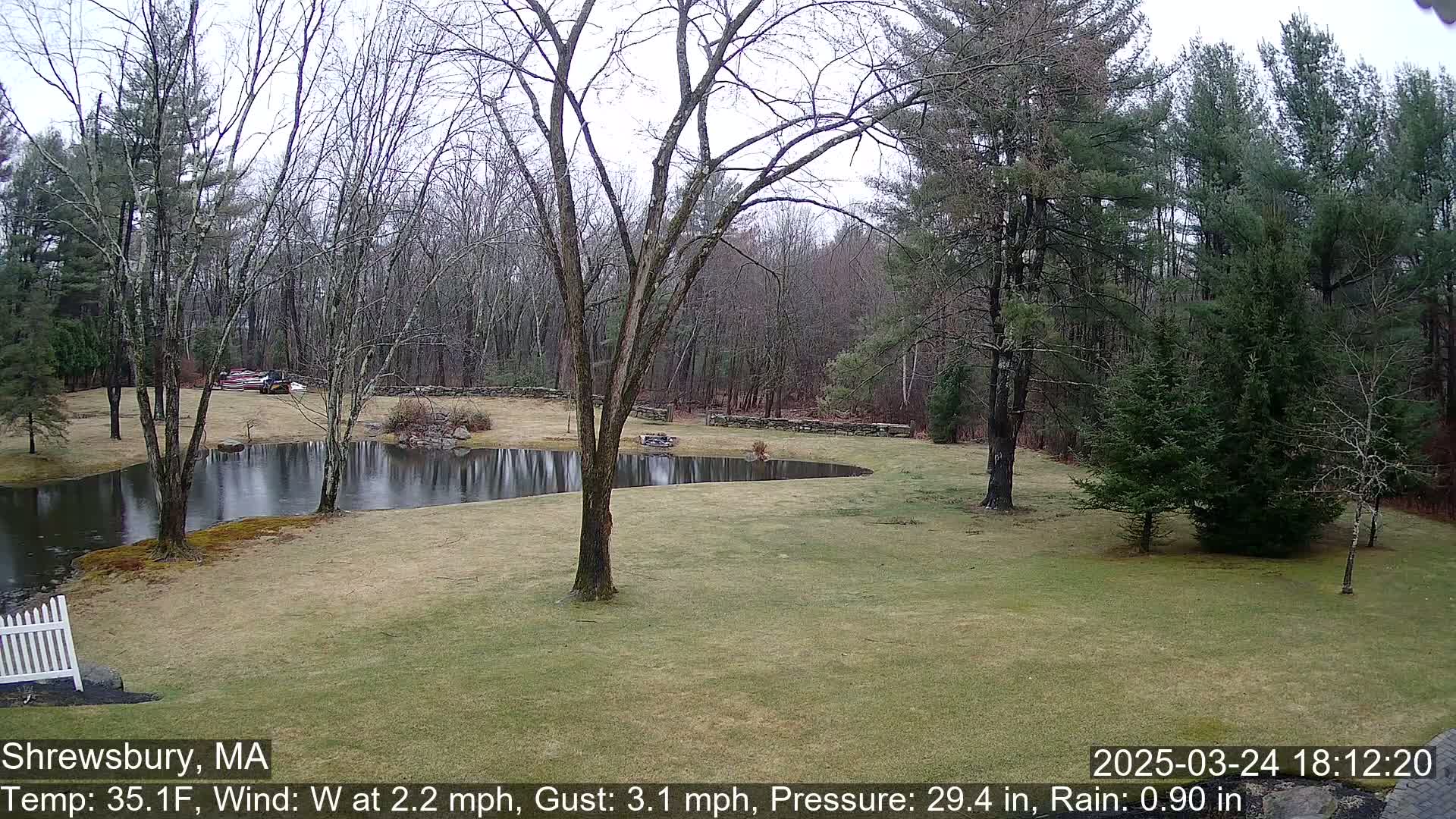 A rain-swept, grassy yard with a pond and bare trees surrounds a wooded area under an overcast sky.