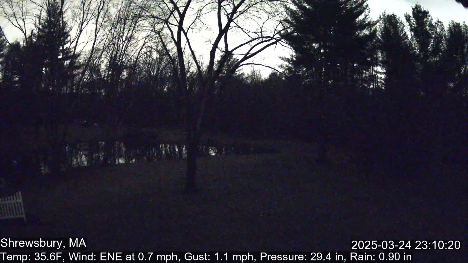 A dark, nighttime scene shows bare trees surrounding a body of water under a cloudy sky, with light rain falling.